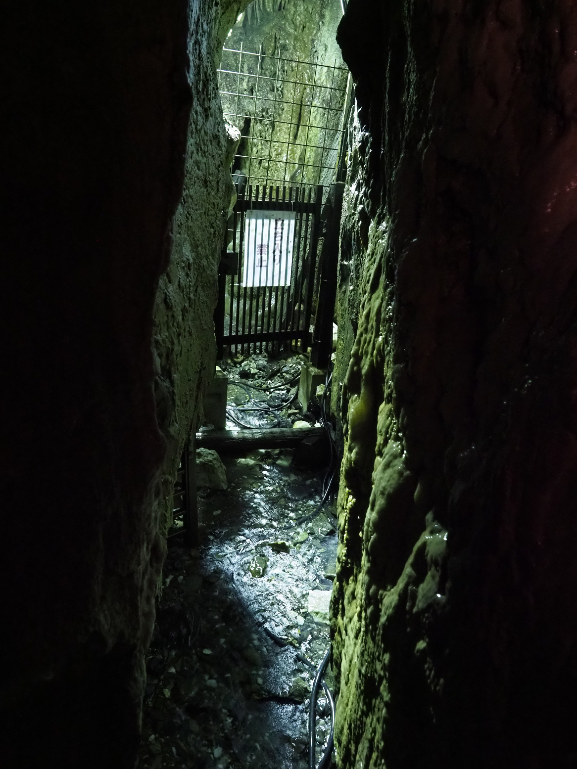 PA190079.jpg
