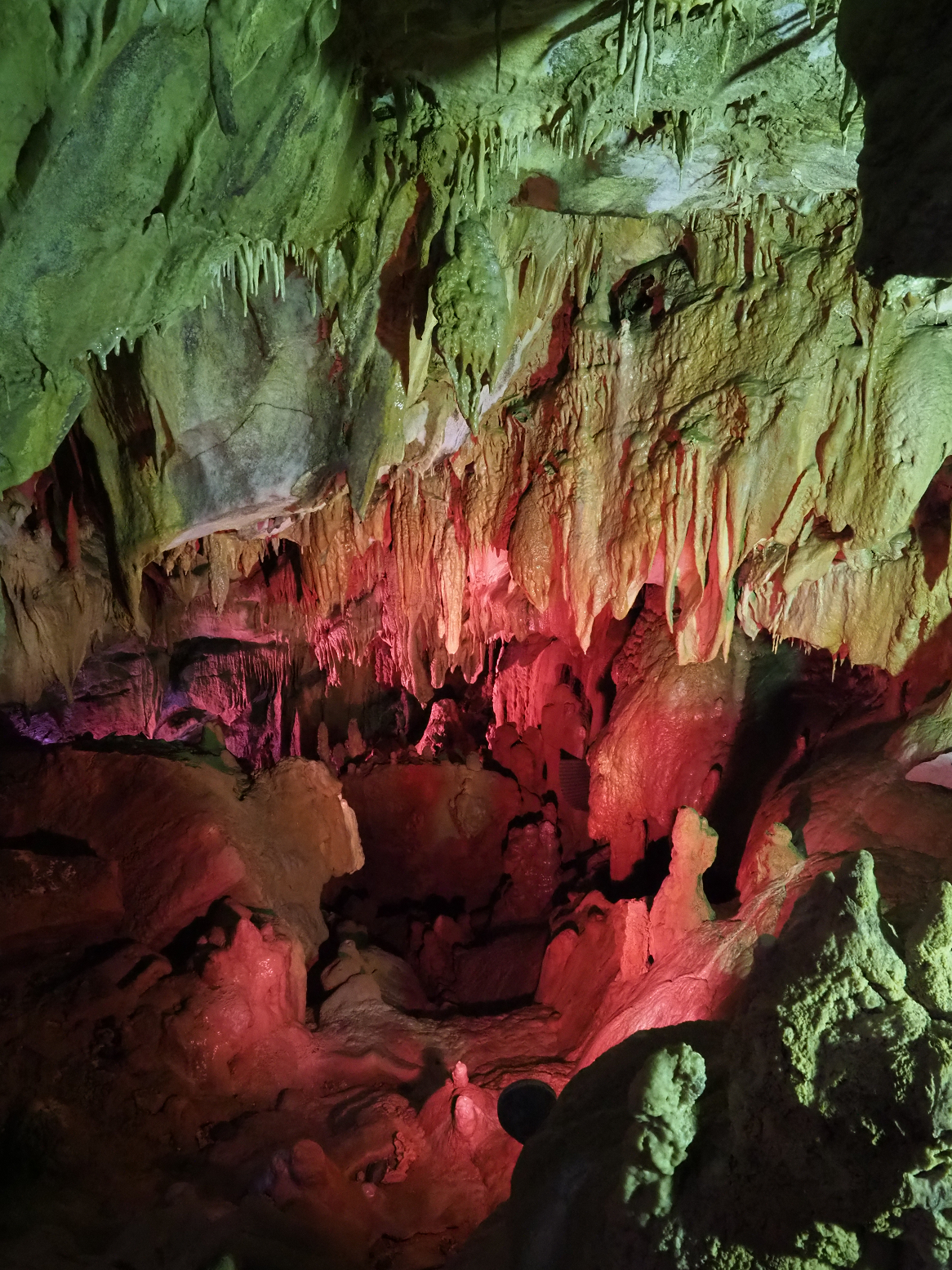 PA190093.jpg