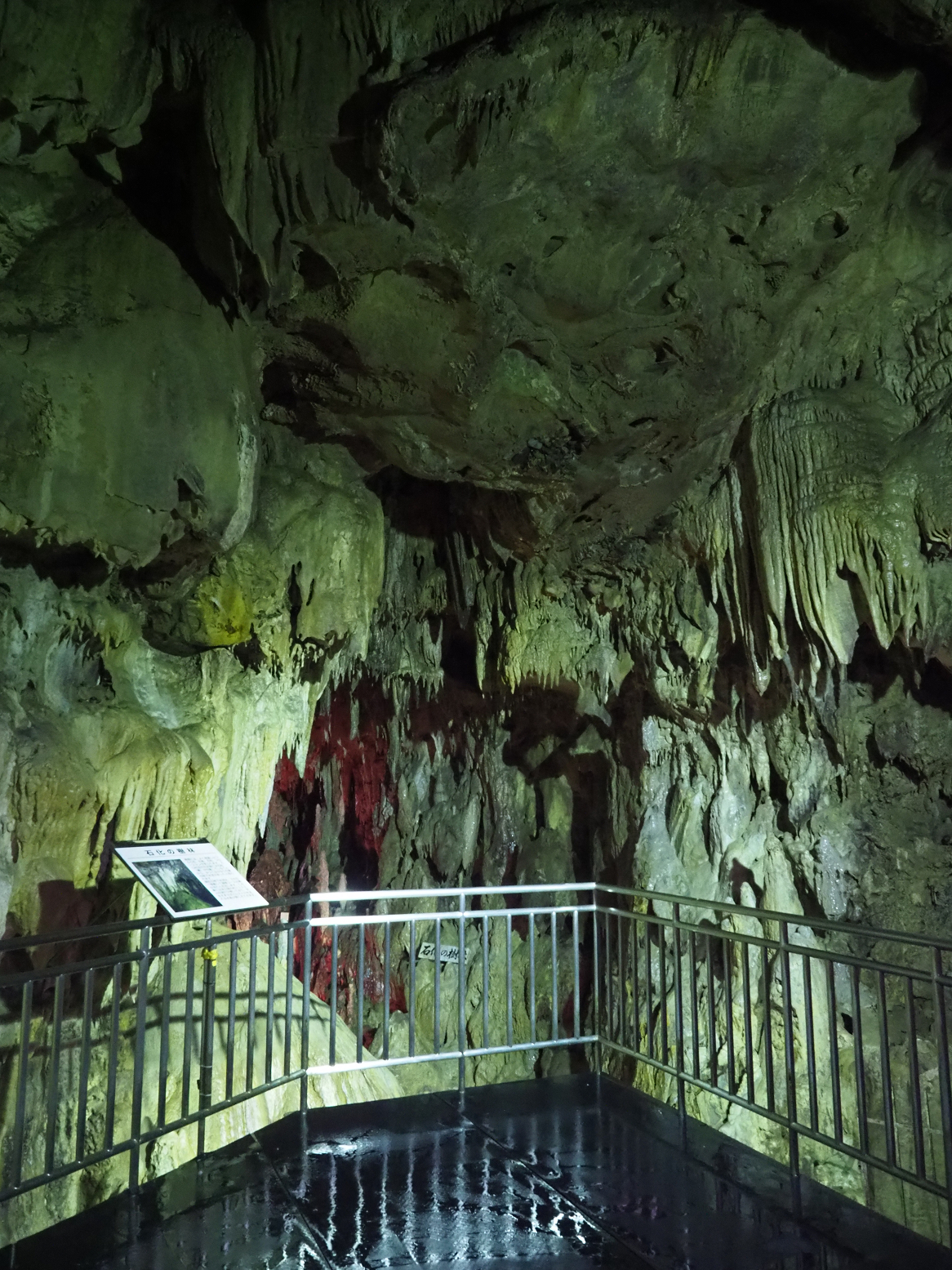 PA190095.jpg