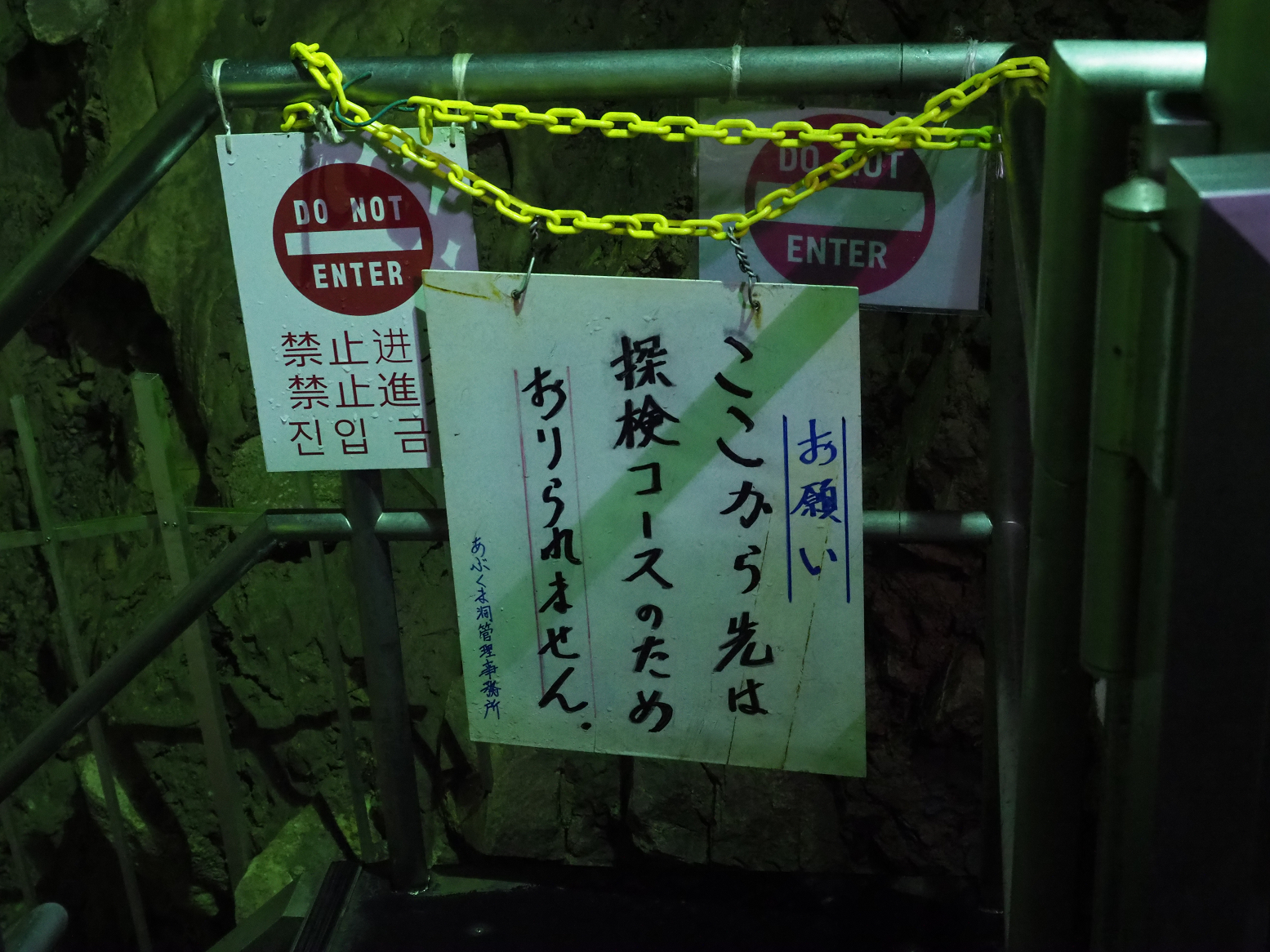 PA190096.jpg