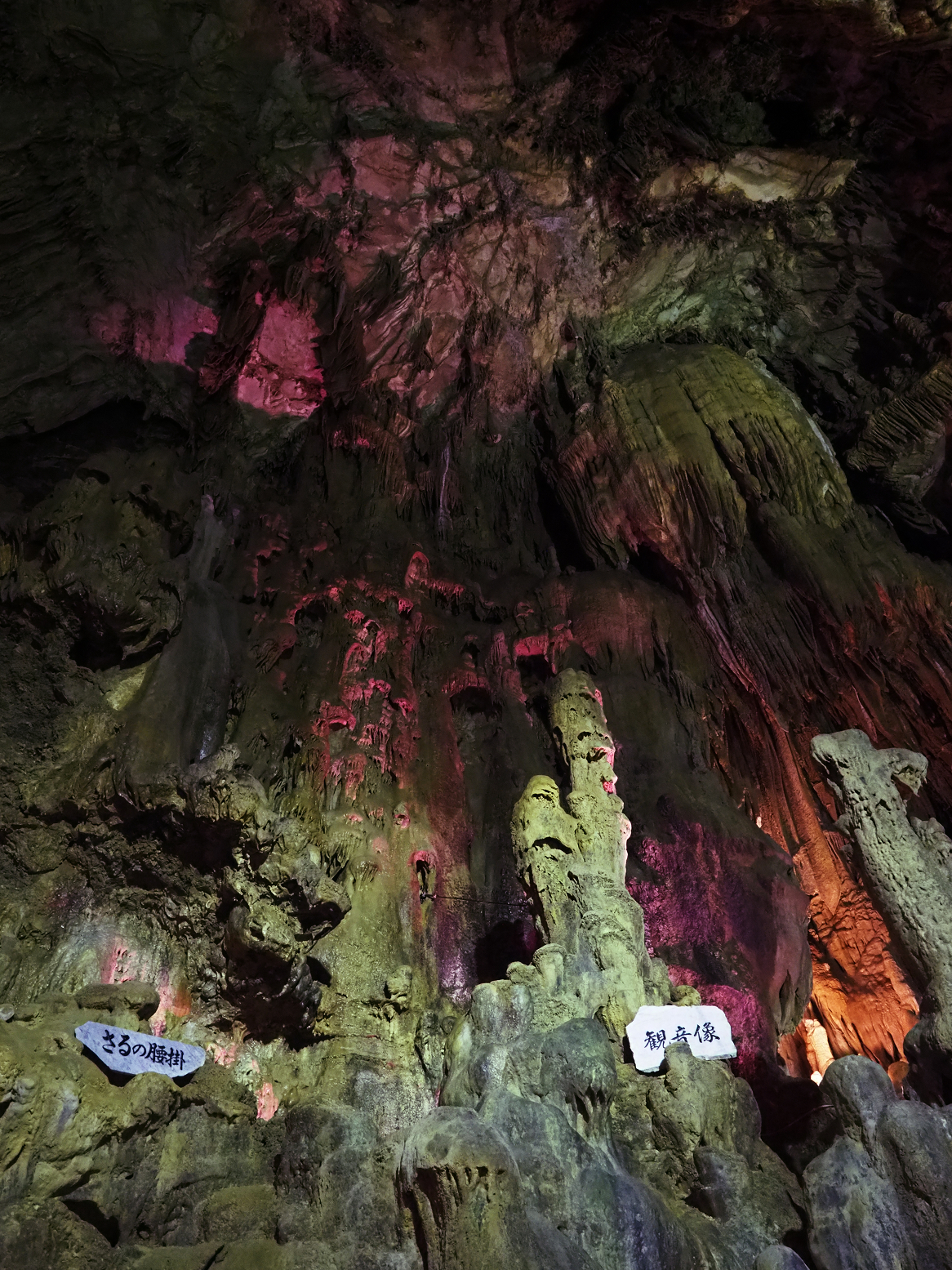 PA190104.jpg