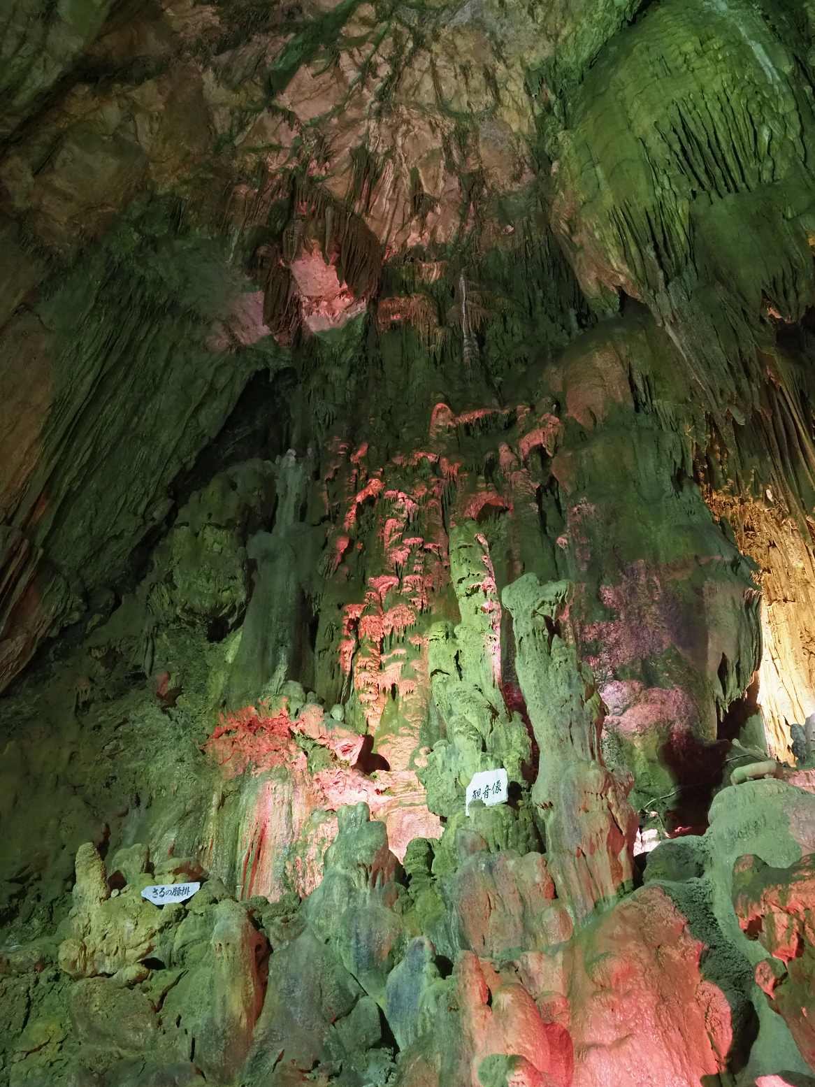 PA190108.jpg