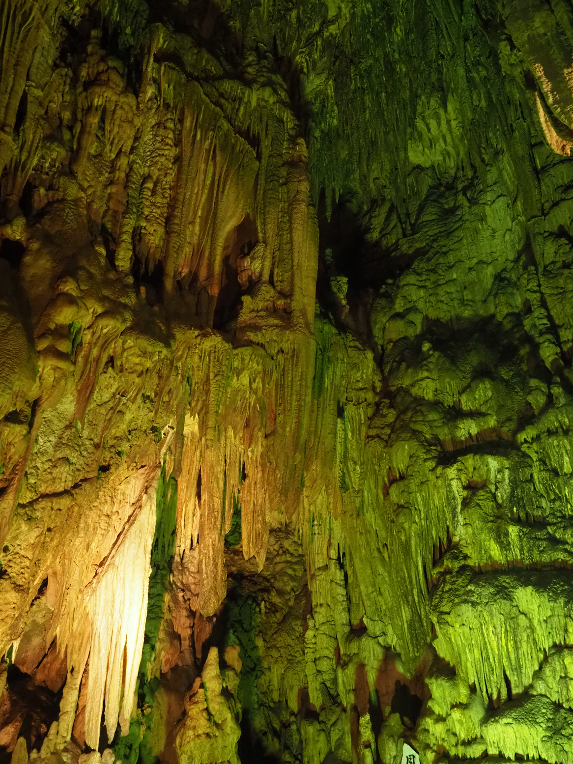 PA190116.jpg