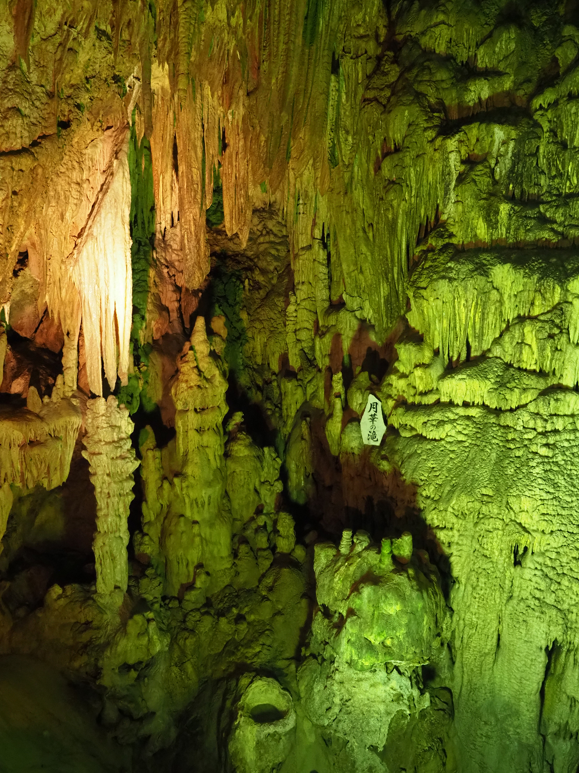 PA190117.jpg