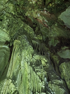 PA190133_thumb.png