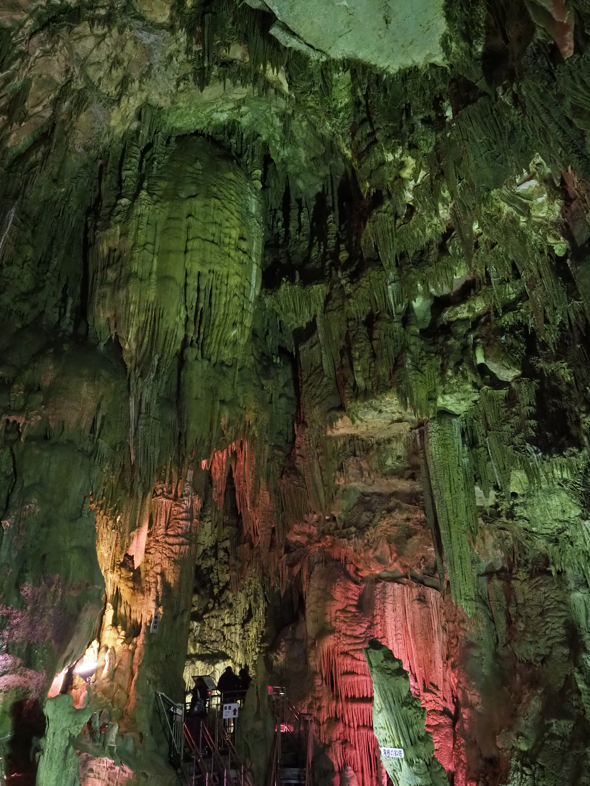 PA190148.jpg