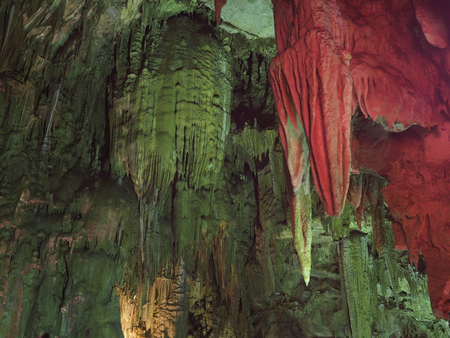 PA190164.jpg