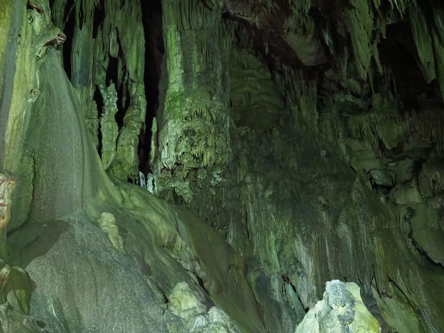 PA190209.jpg