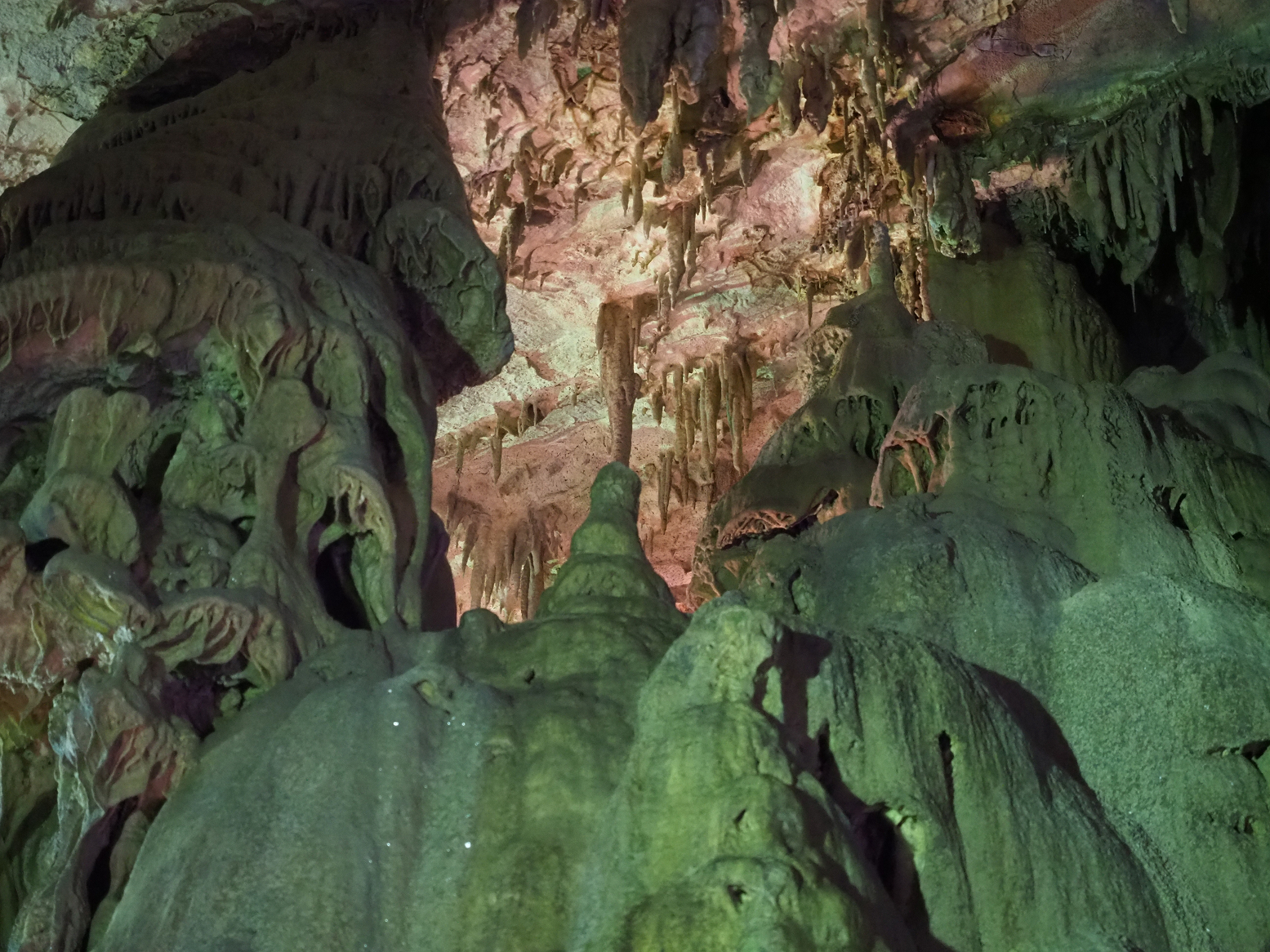 PA190217.jpg