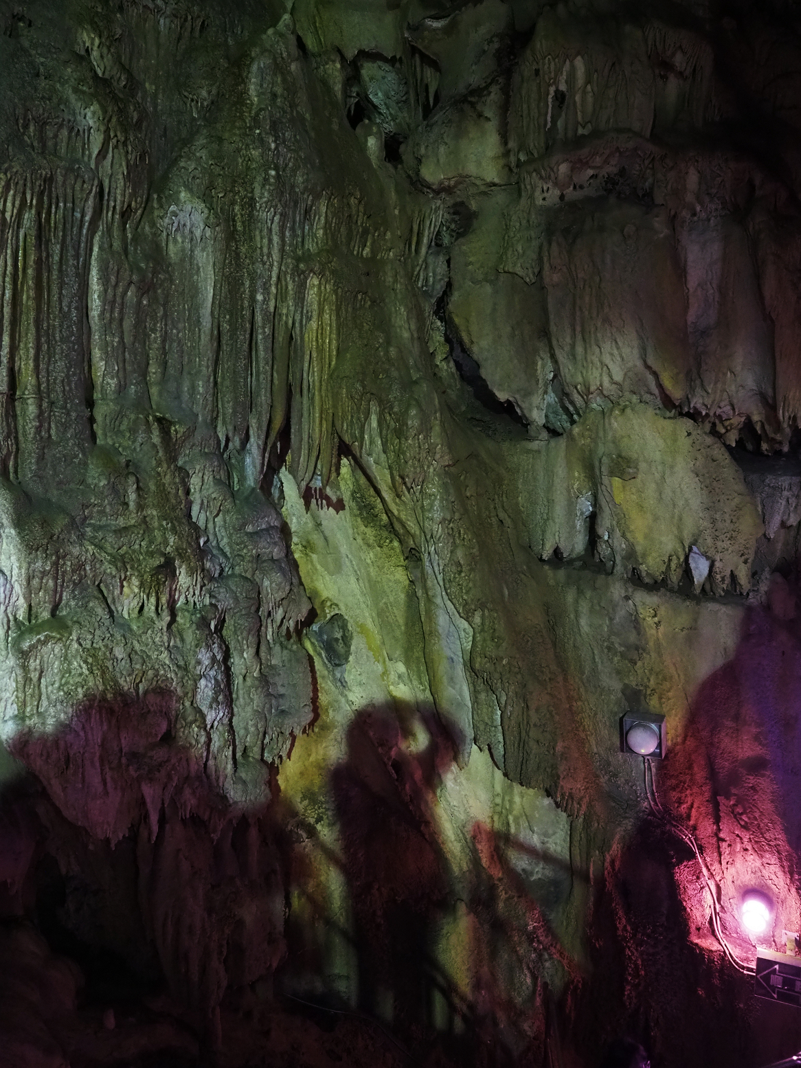 PA190219.jpg