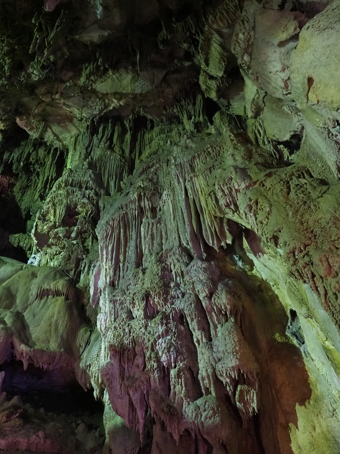 PA190222.jpg