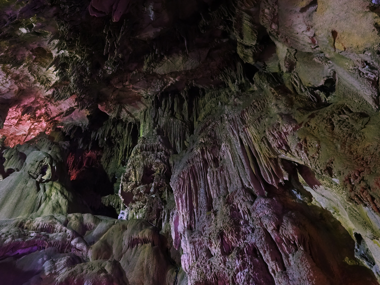 PA190224.jpg