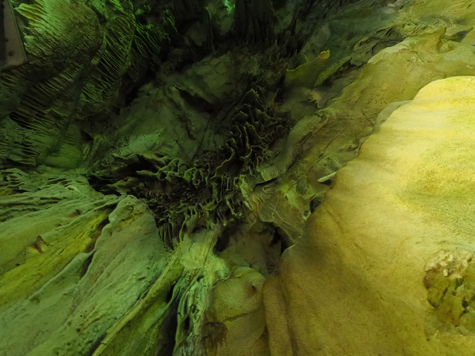 PA190226.jpg