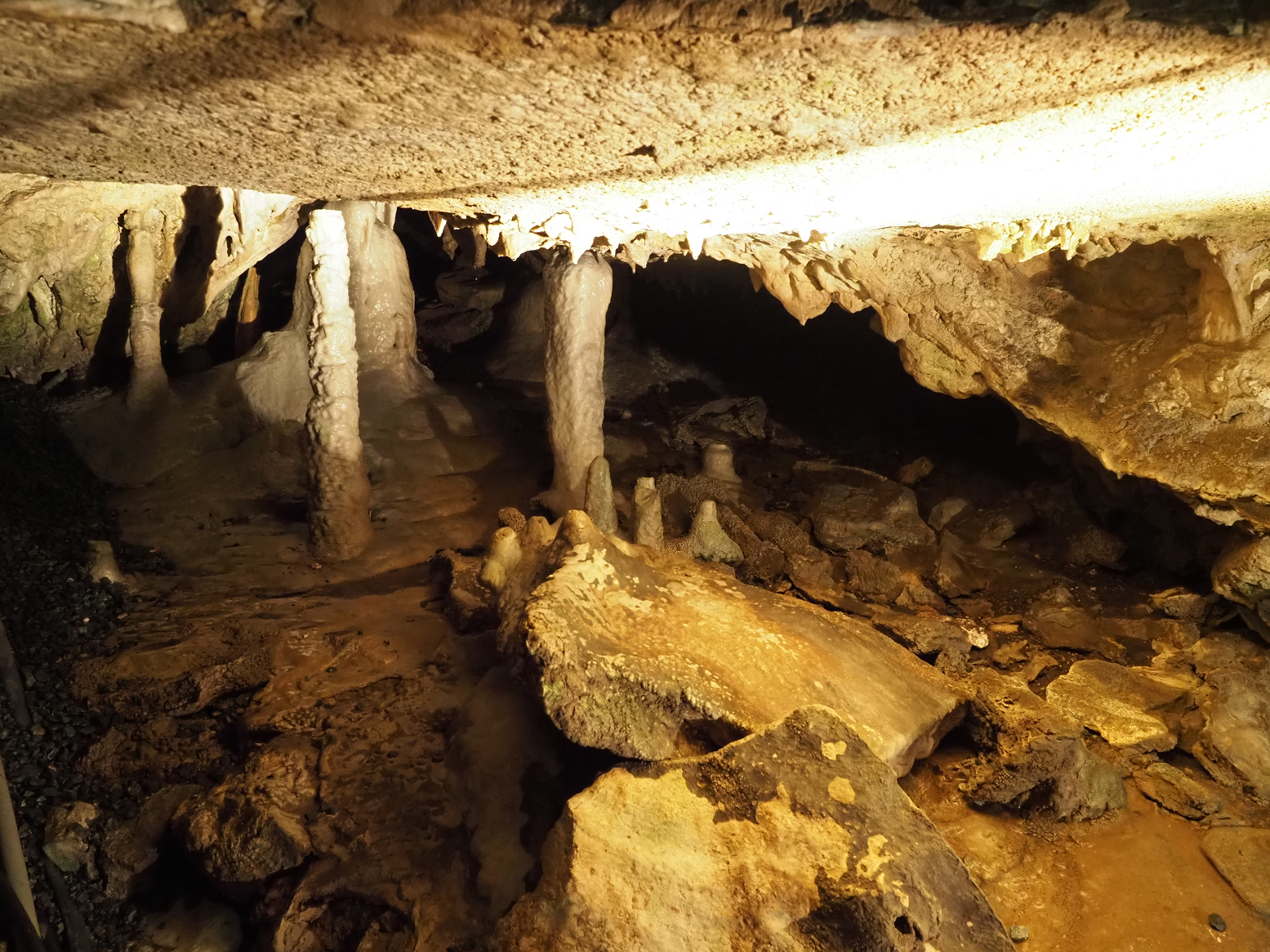PA190252.jpg