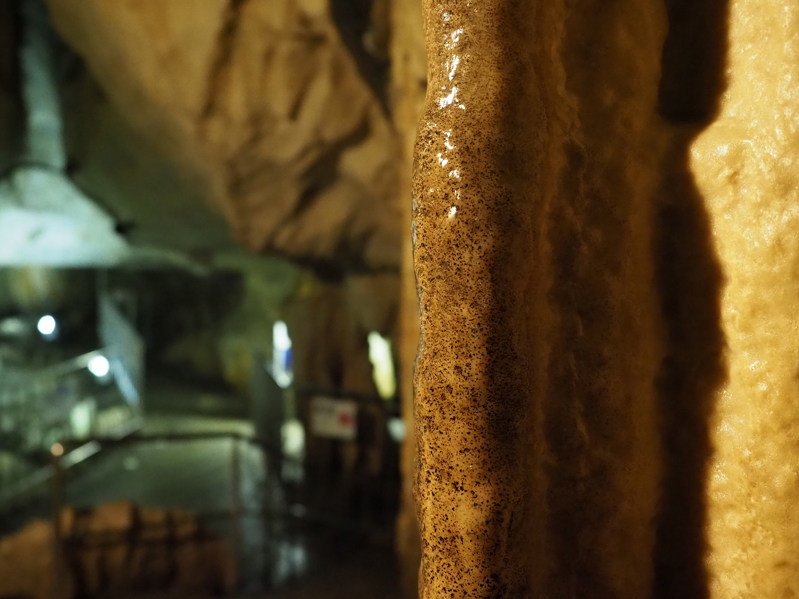PA190260.jpg