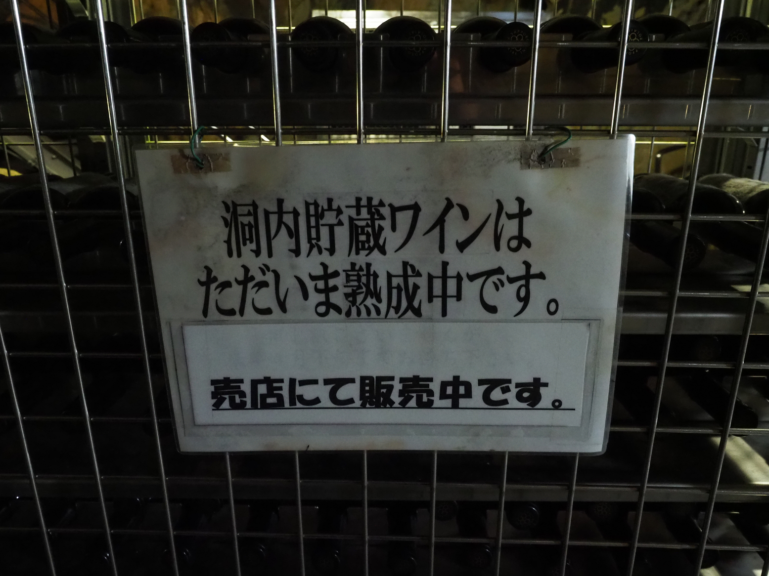 PA190276.jpg