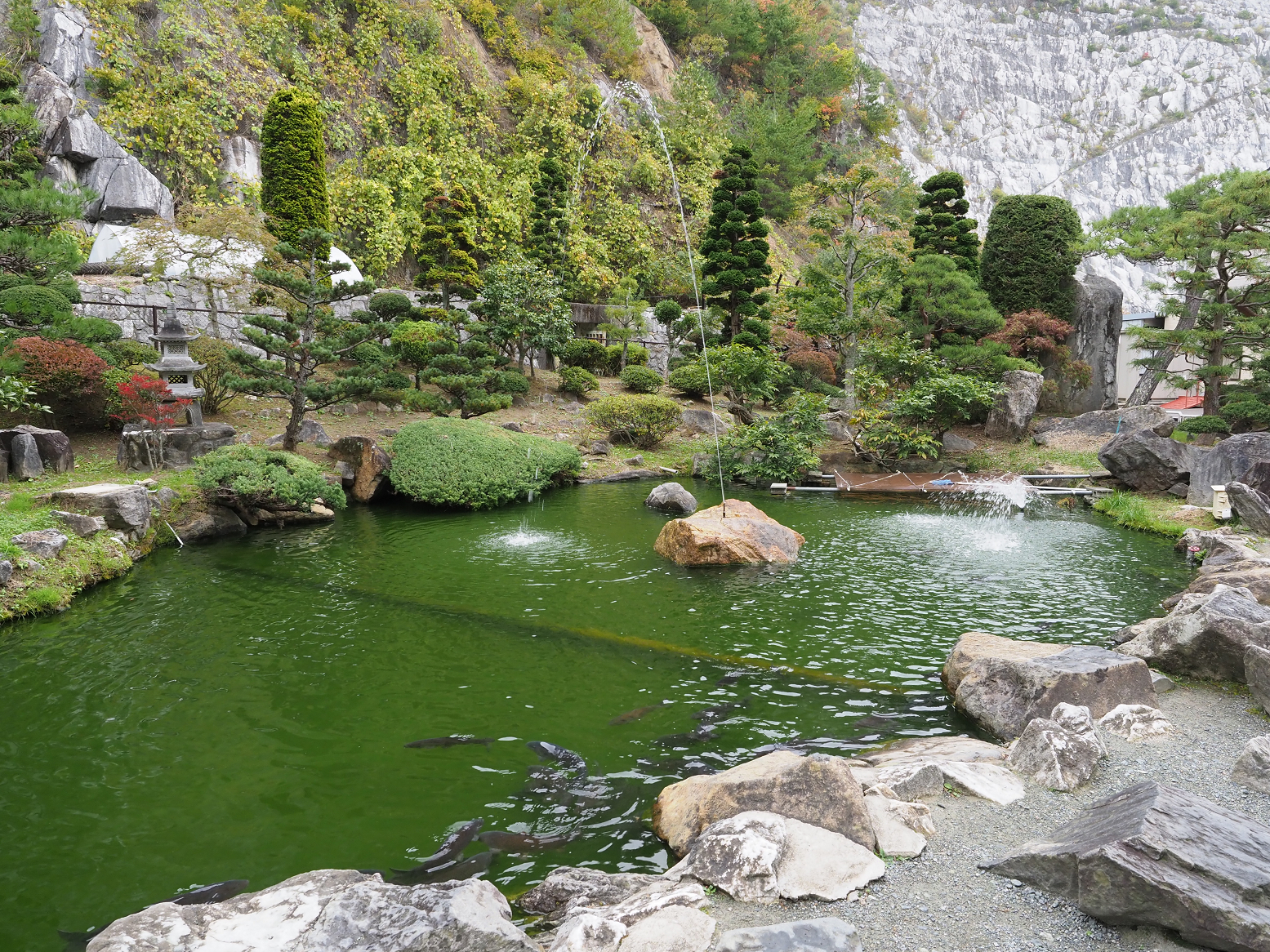 PA190279.jpg