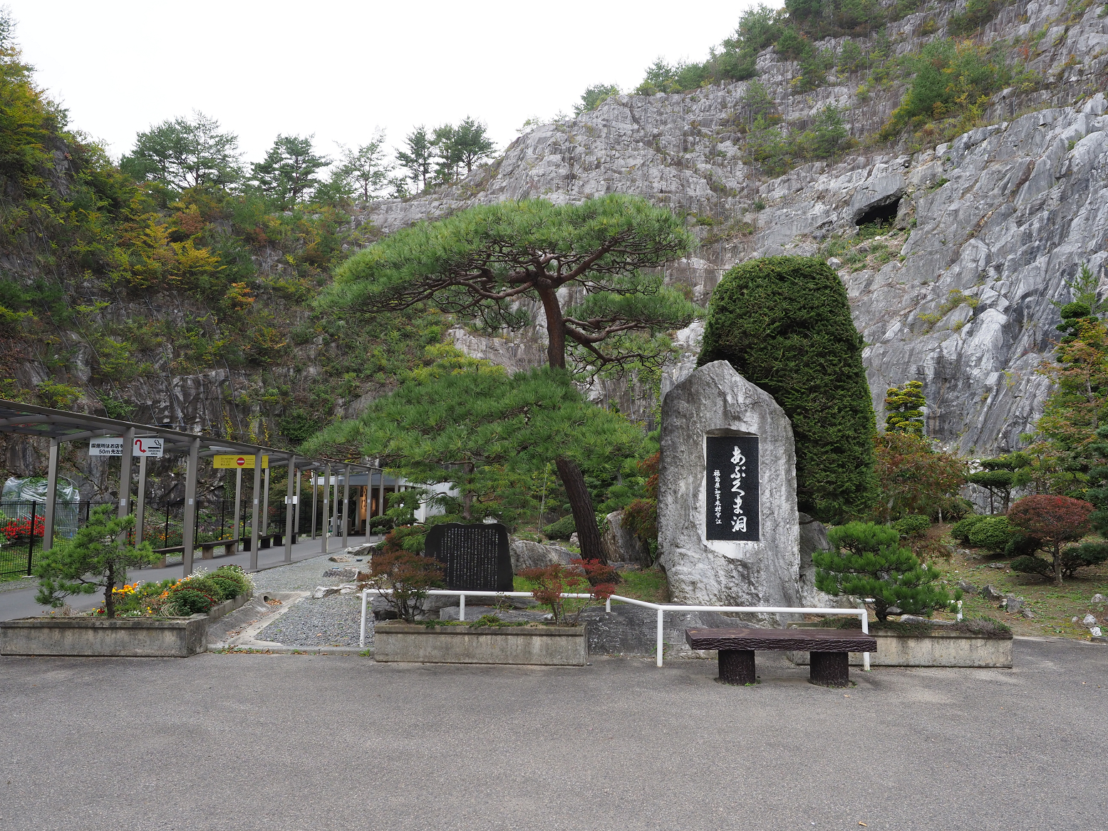PA190286.jpg