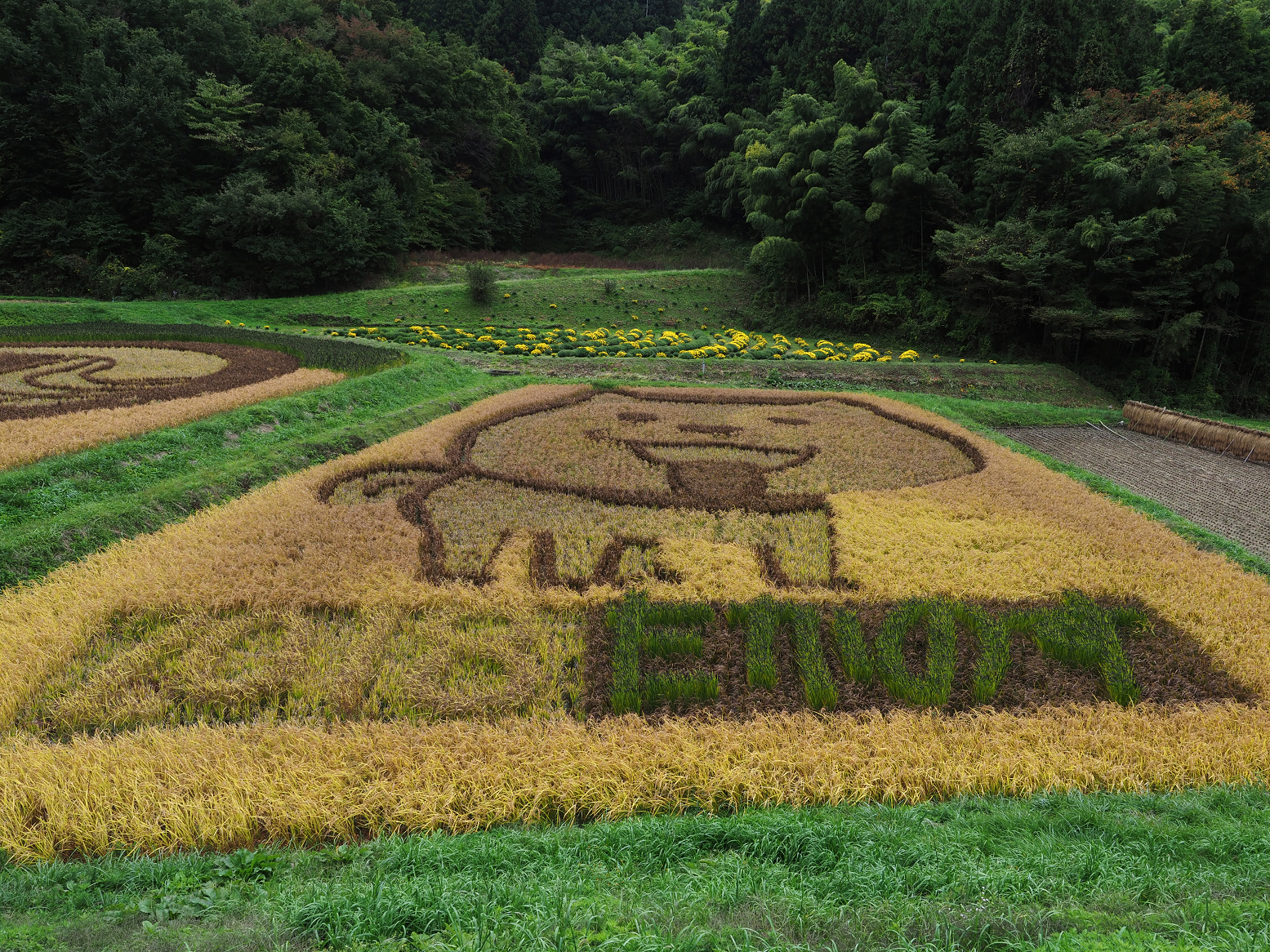 PA190307.jpg