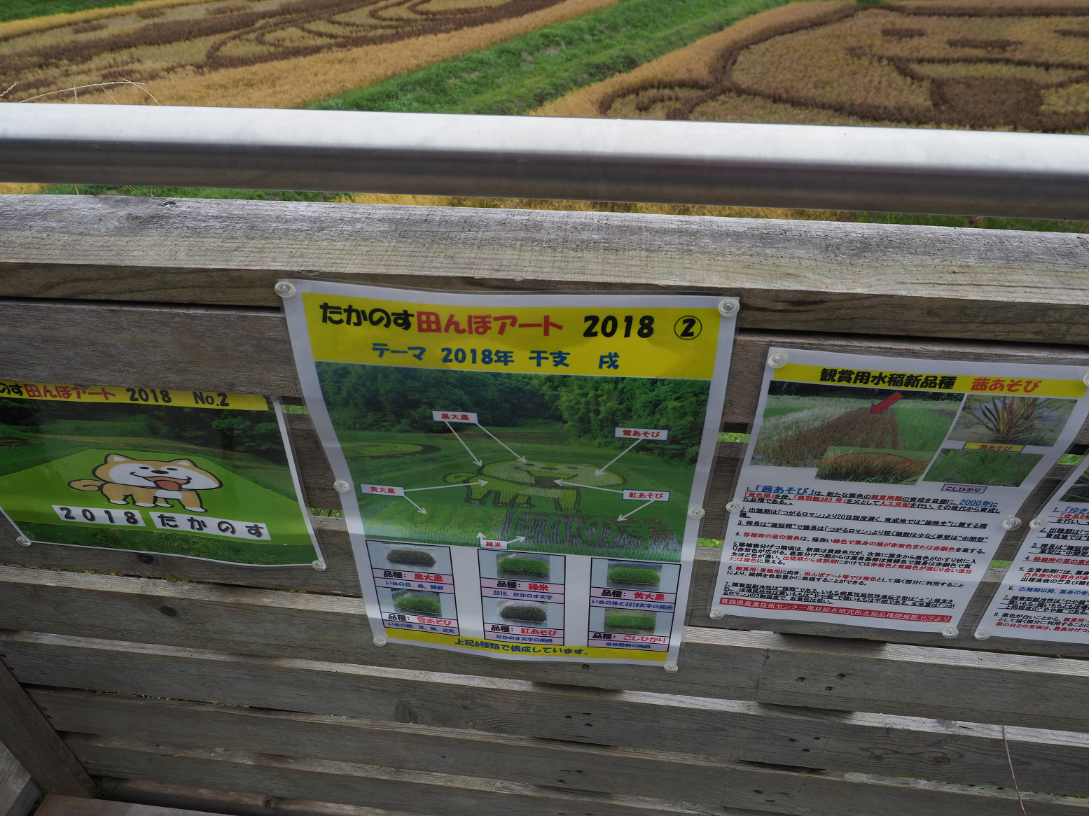 PA190308.jpg