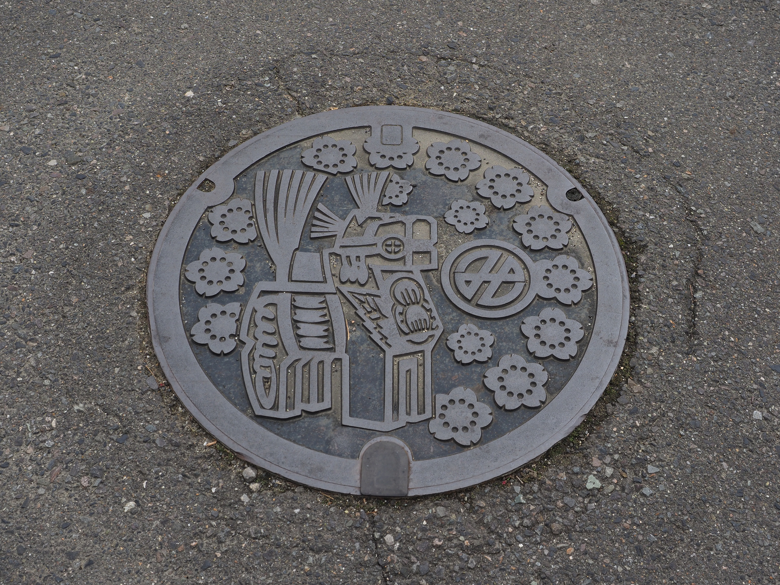 PA190309.jpg