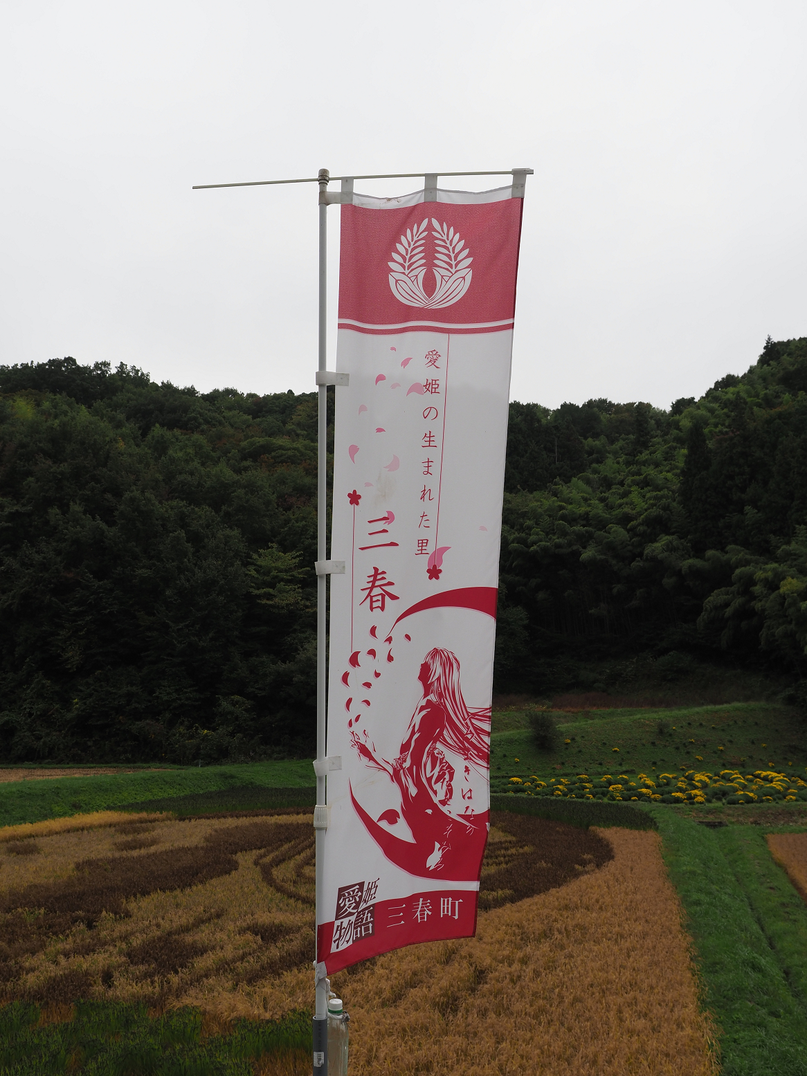 PA190310.jpg
