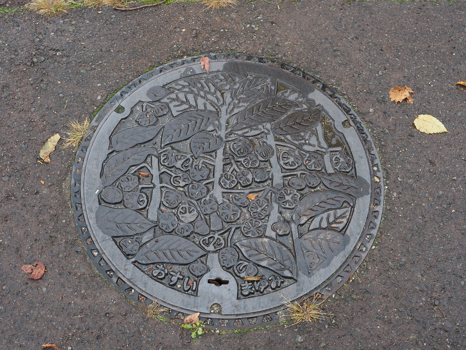 PA190314.jpg
