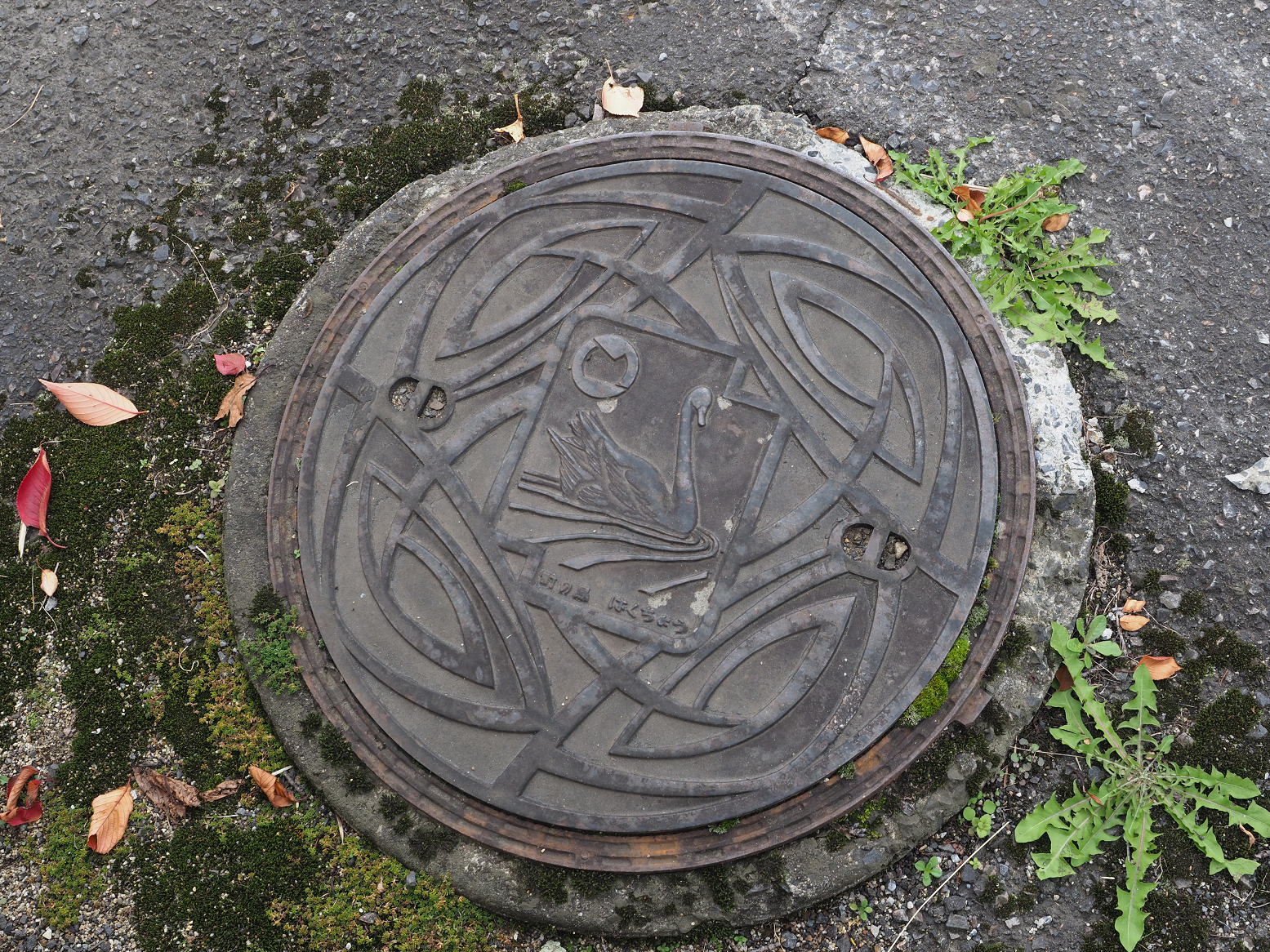 PA190317.jpg