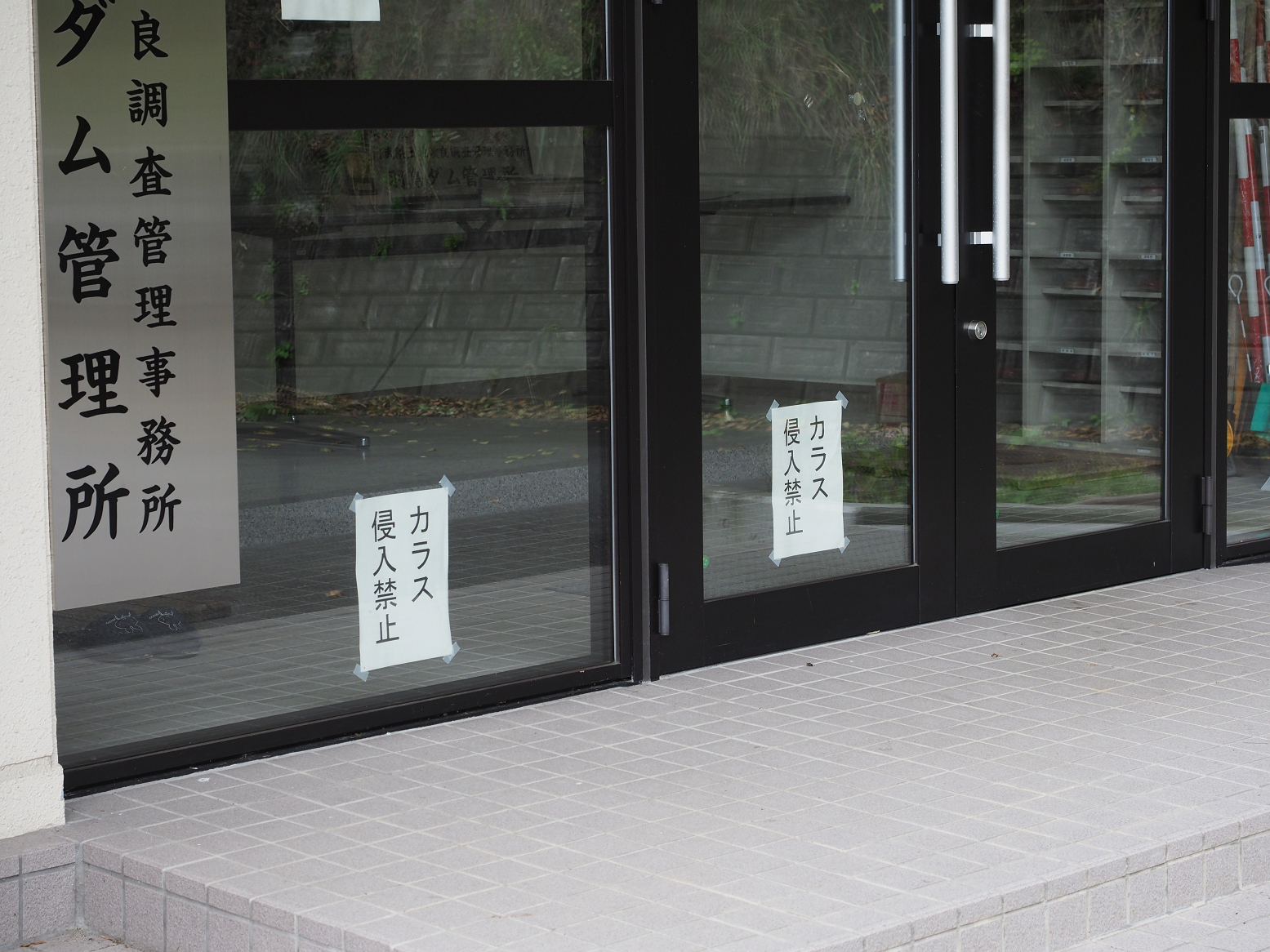 PA190325.jpg