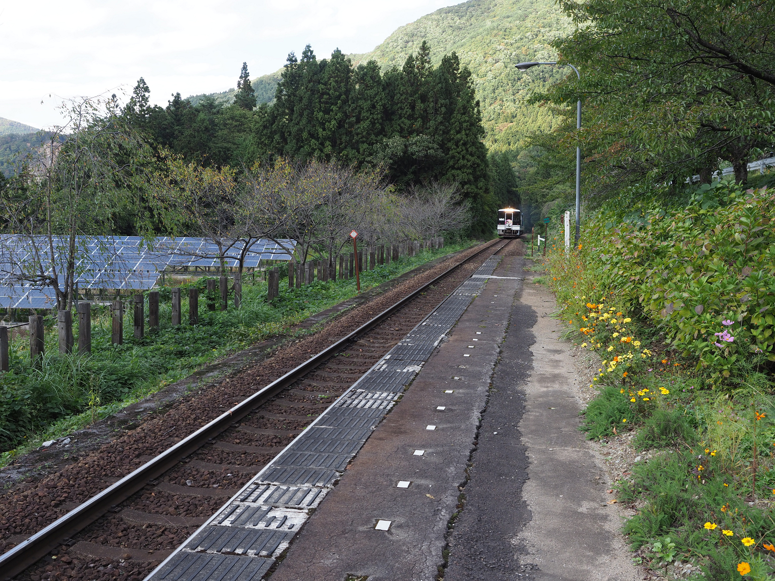 PA190329.jpg