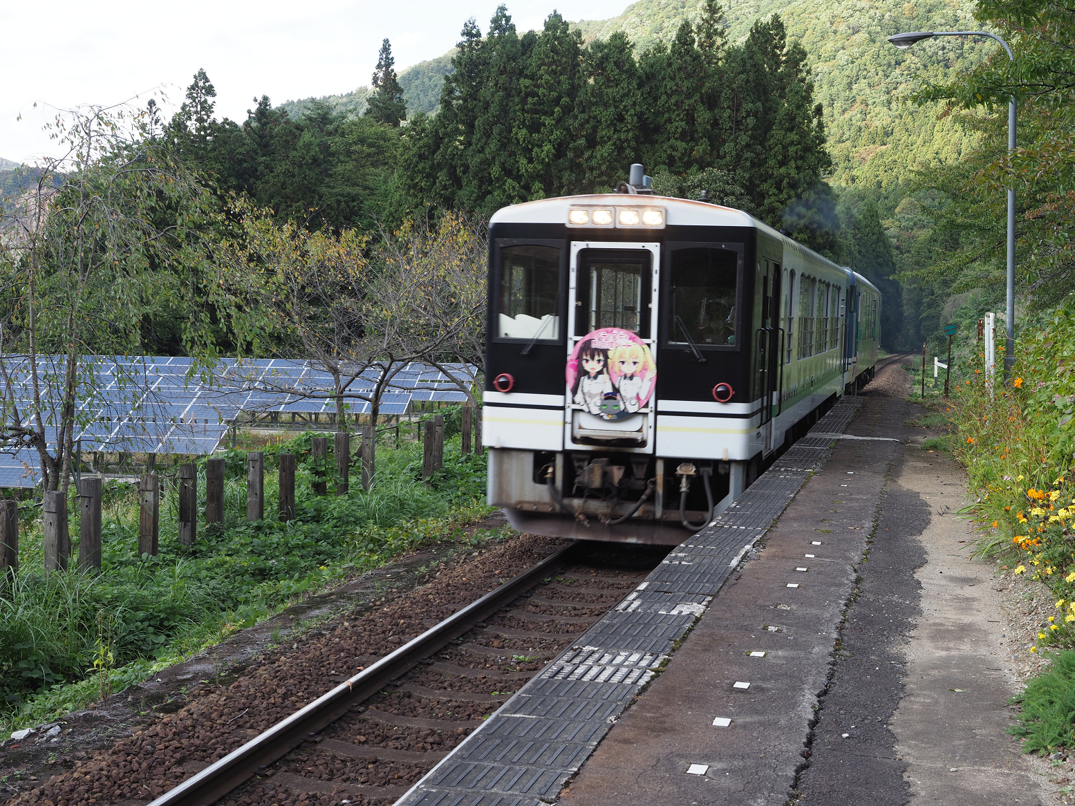 PA190331.jpg