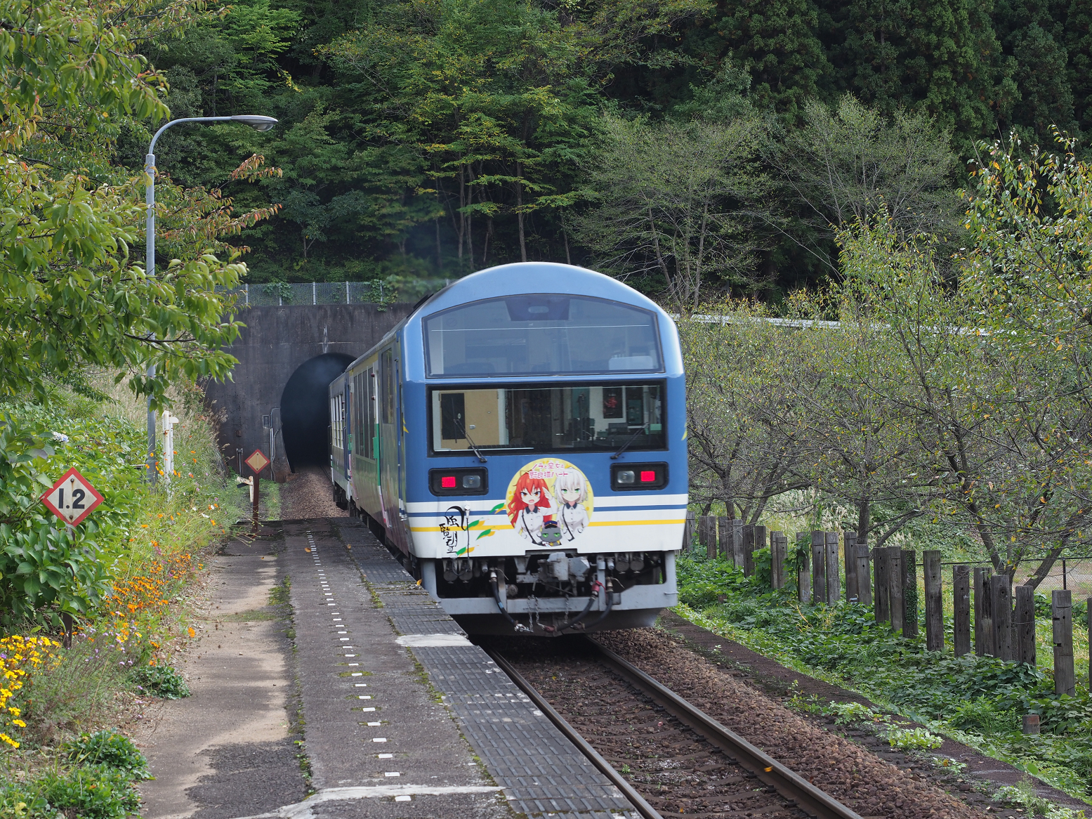 PA190334.jpg