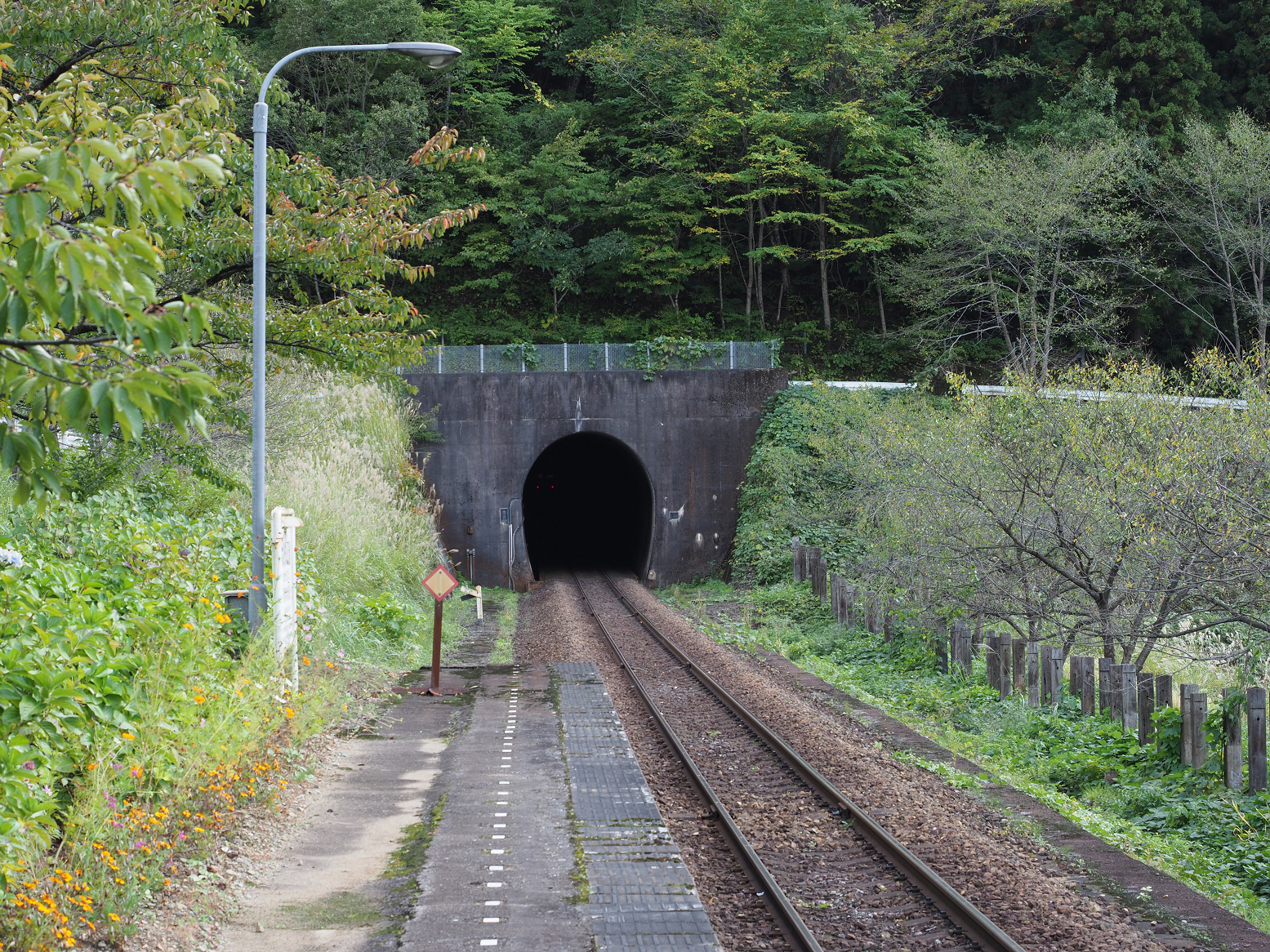 PA190341.jpg