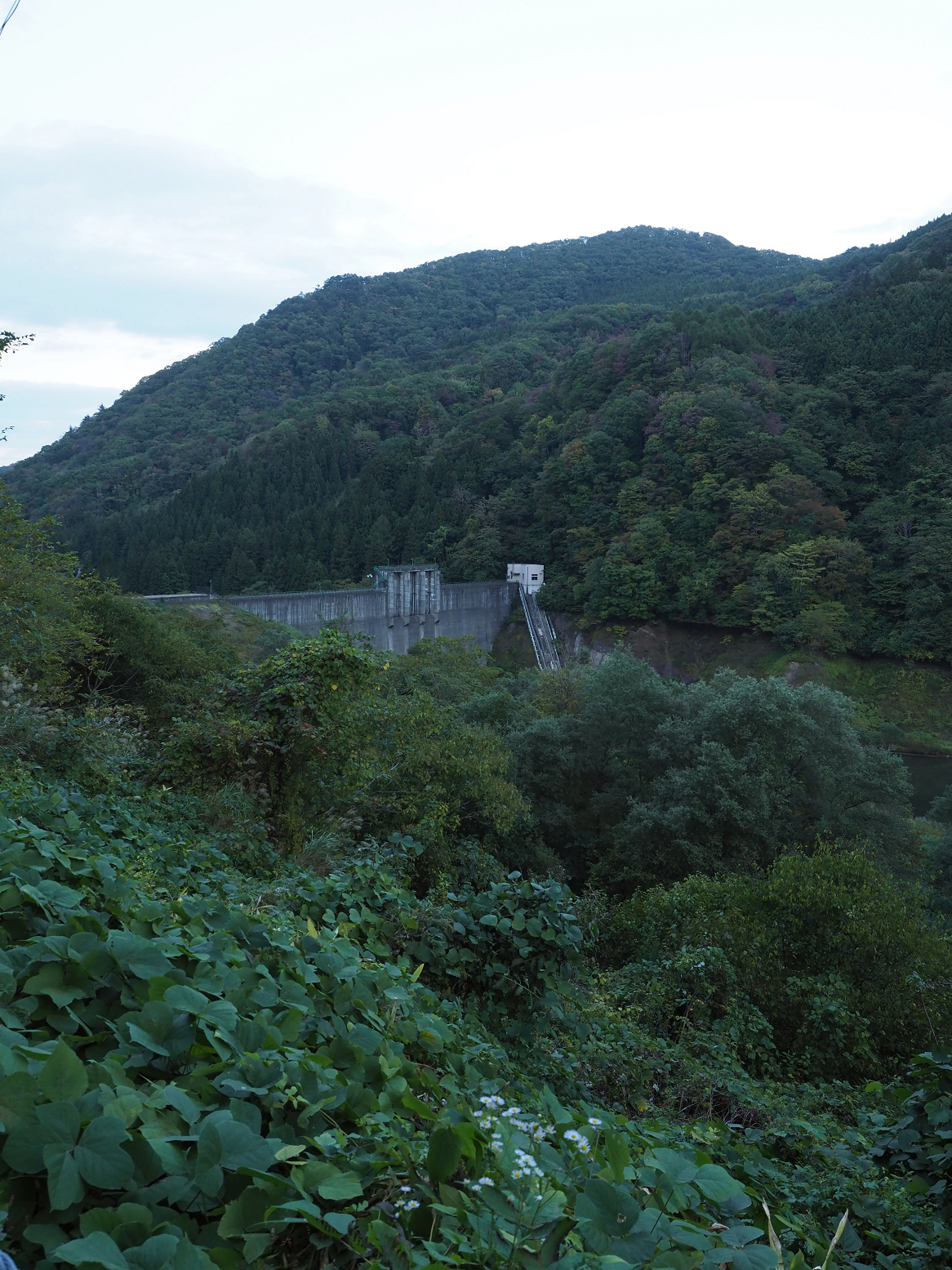PA190358.jpg