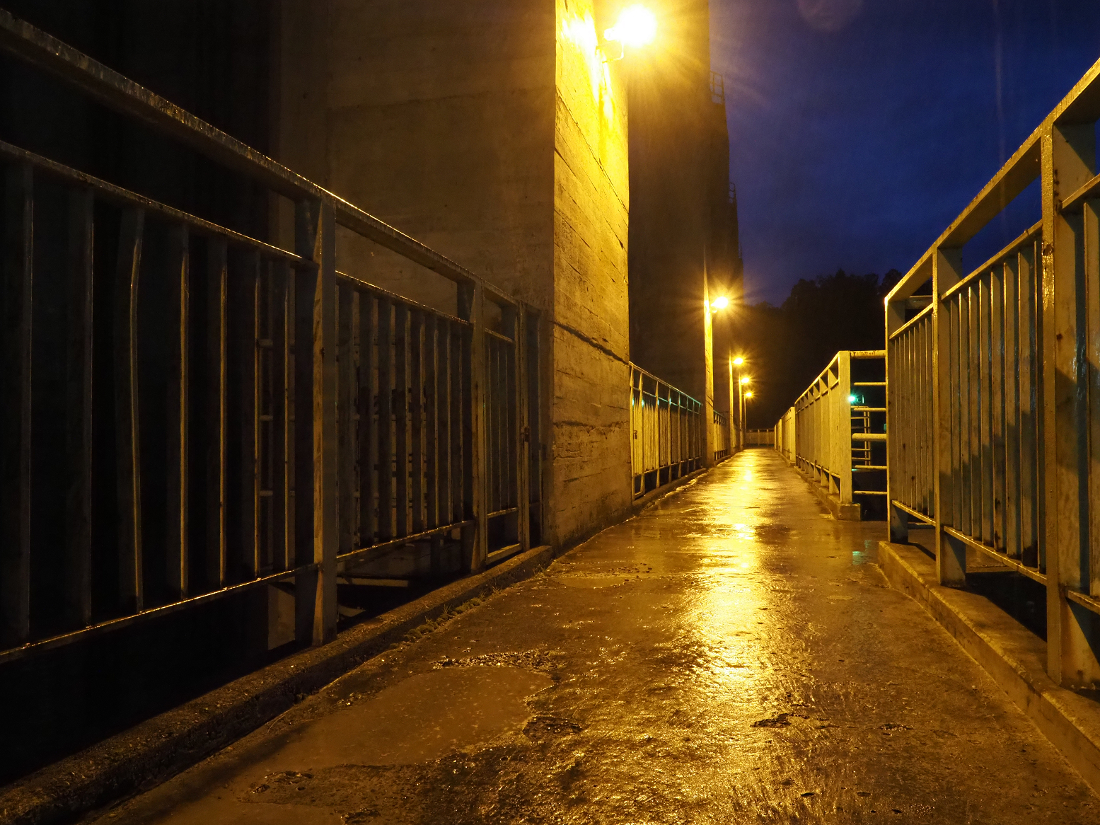 PA190366.jpg