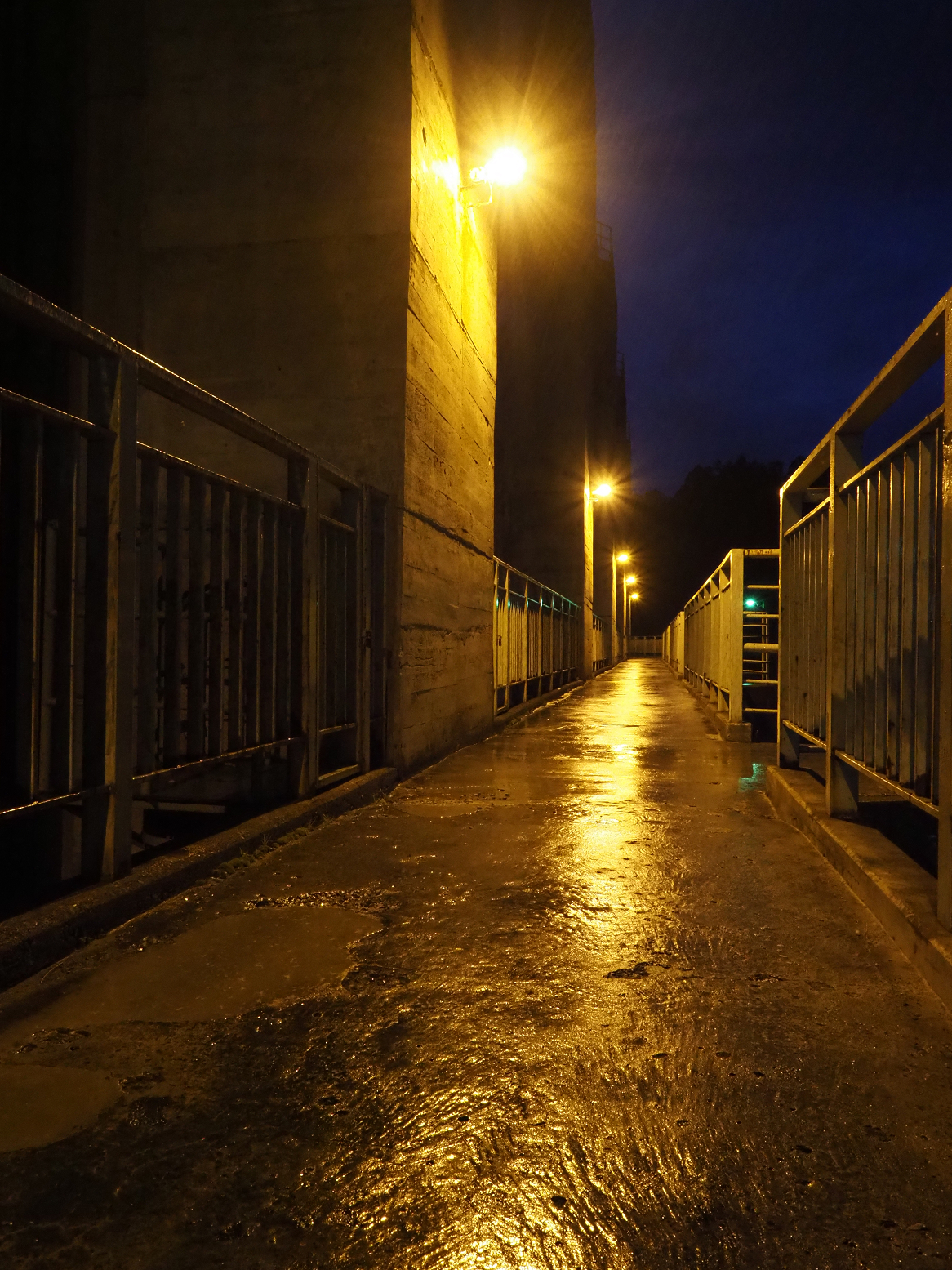 PA190367.jpg