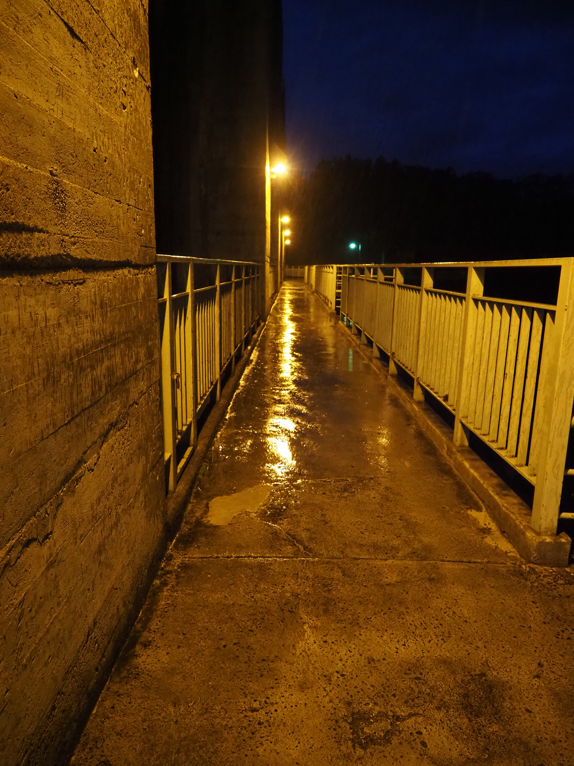 PA190369.jpg