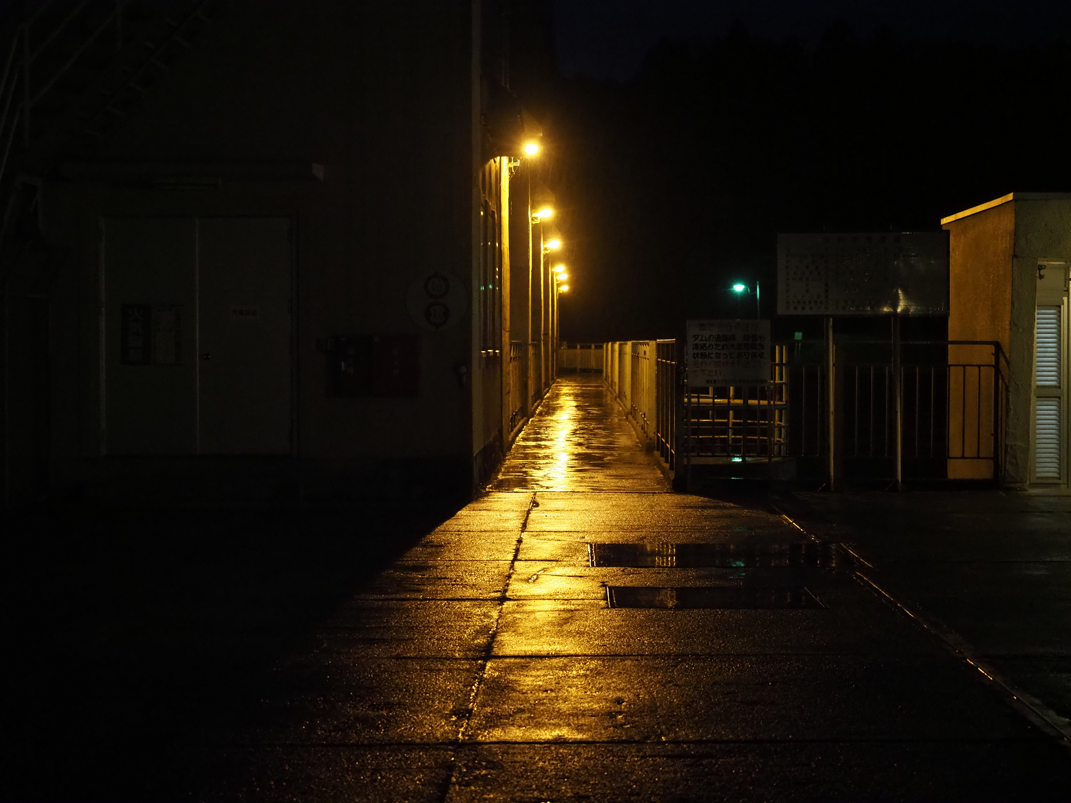 PA190372.jpg