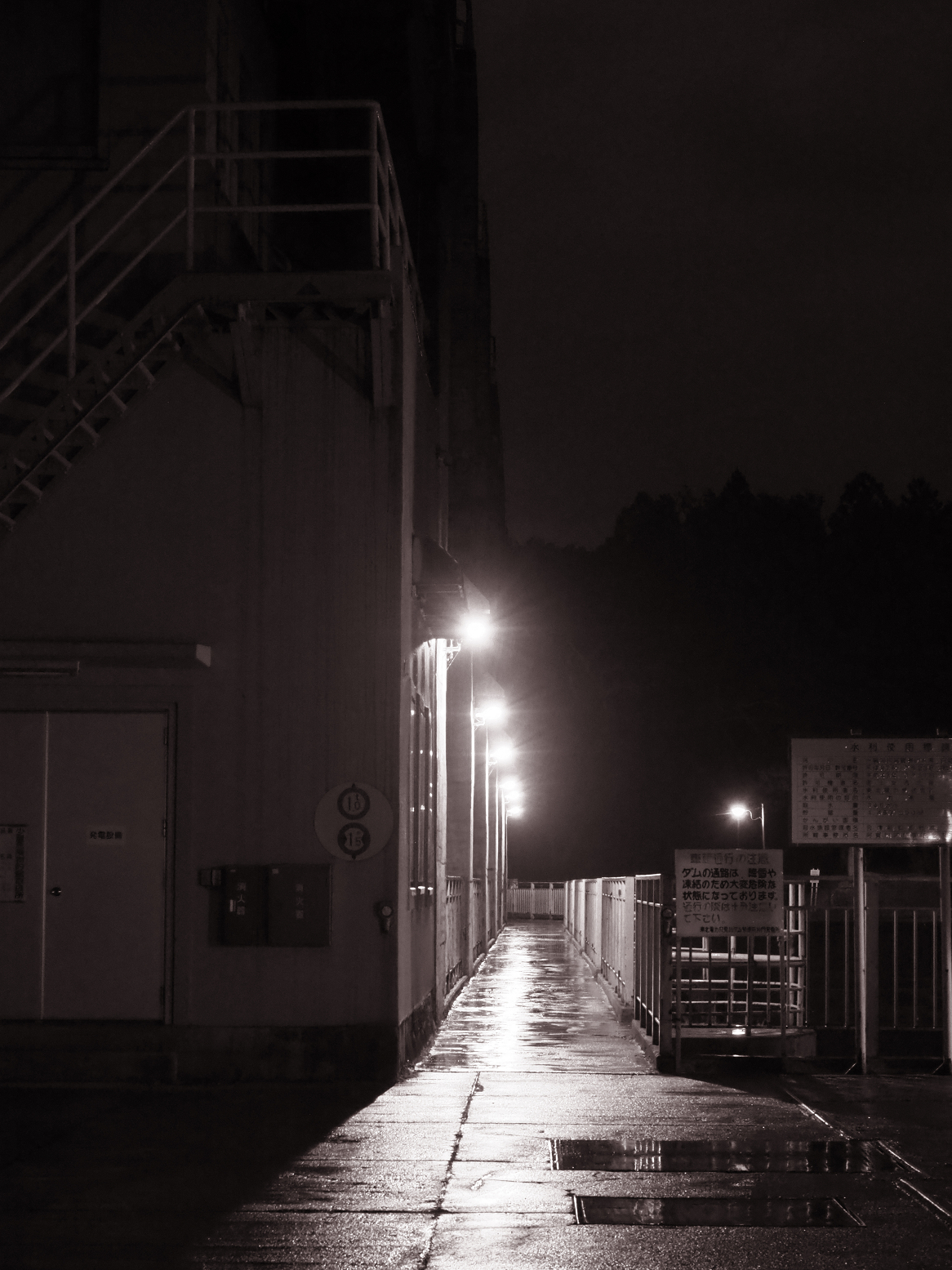 PA190375.jpg