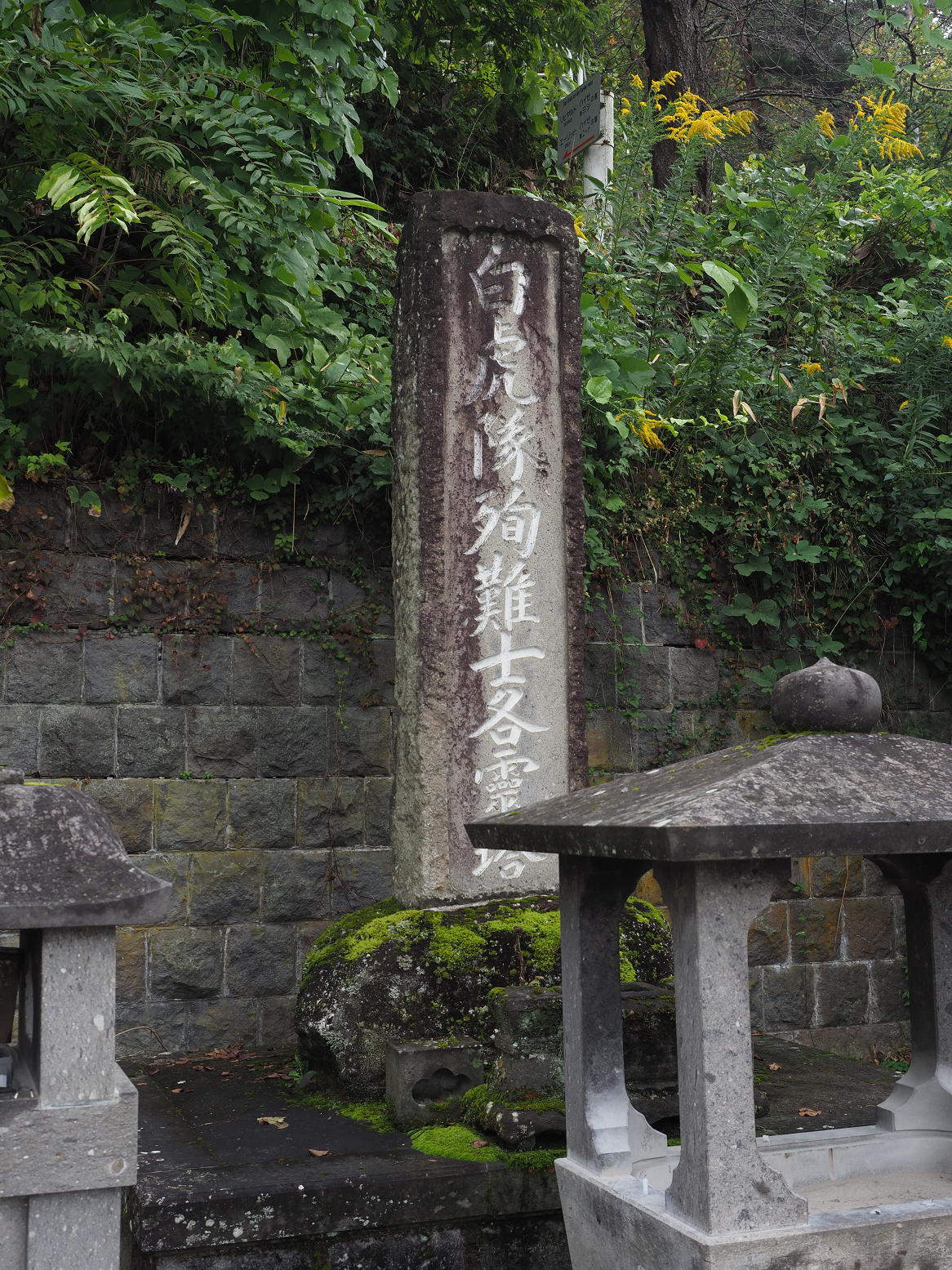 PA200466.jpg
