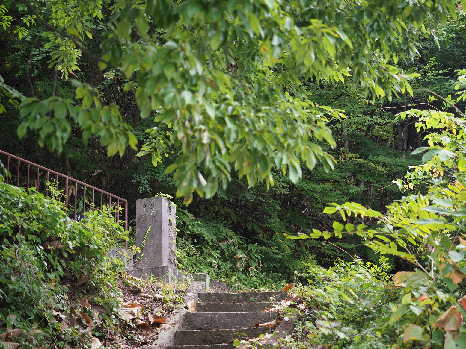 PA200470.jpg