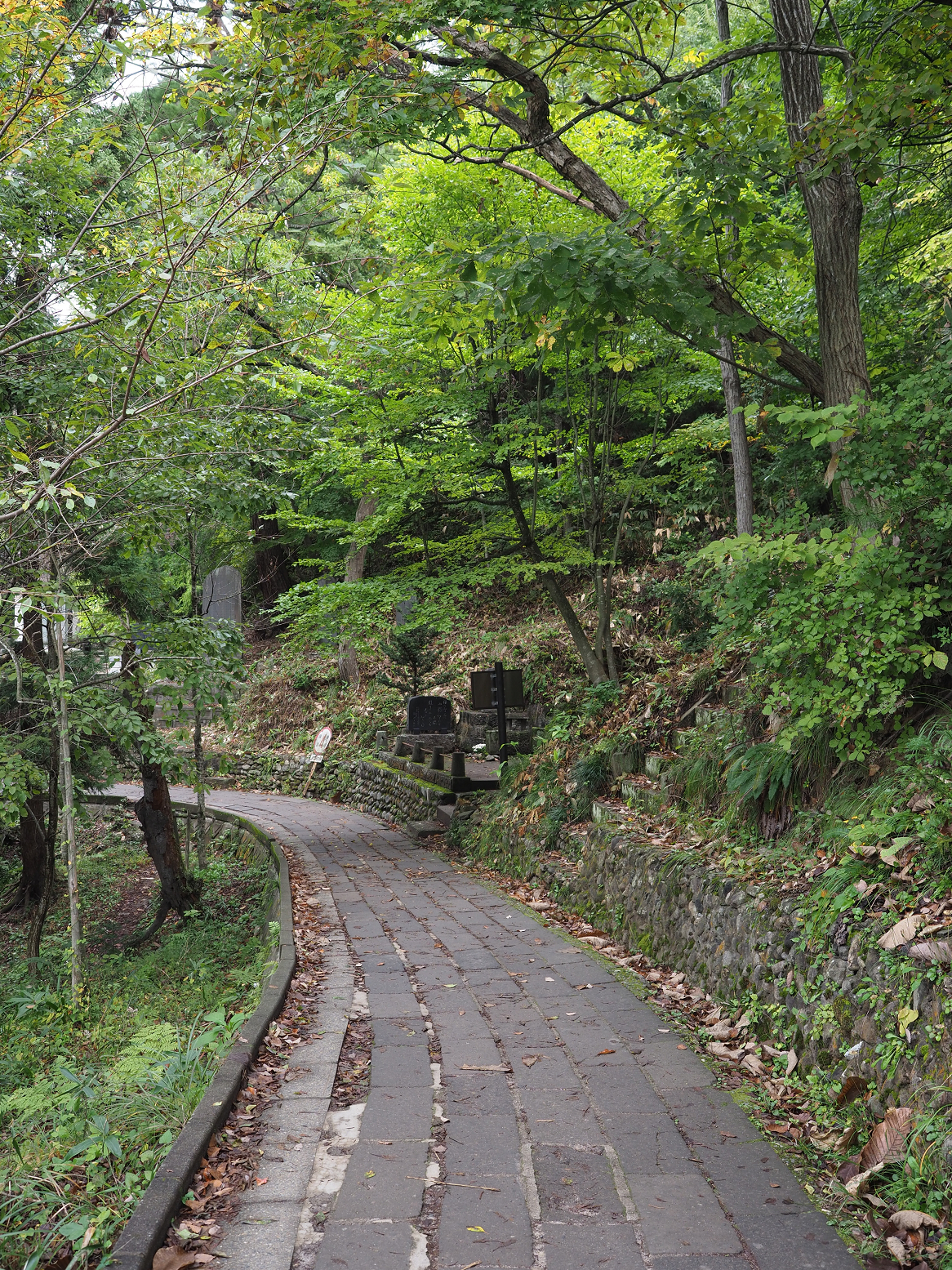 PA200471.jpg