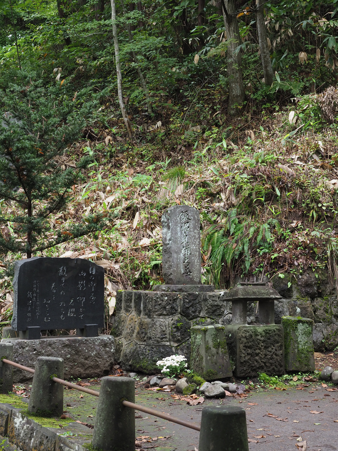 PA200473.jpg