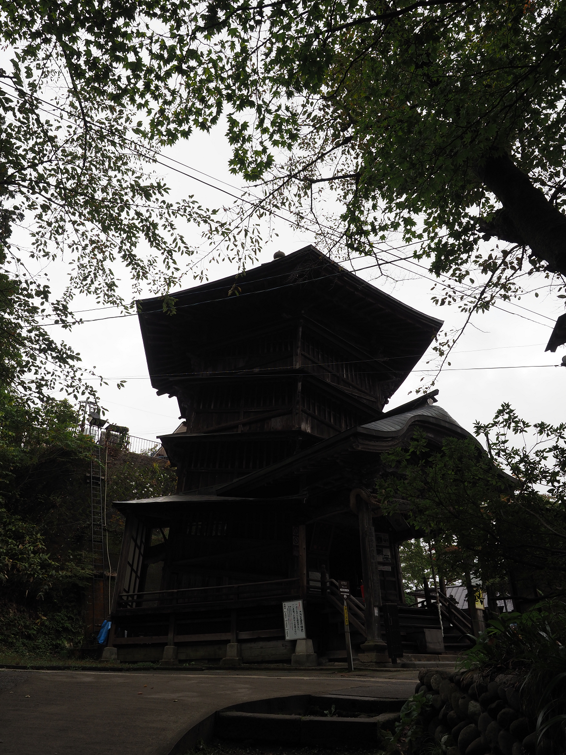 PA200565.jpg