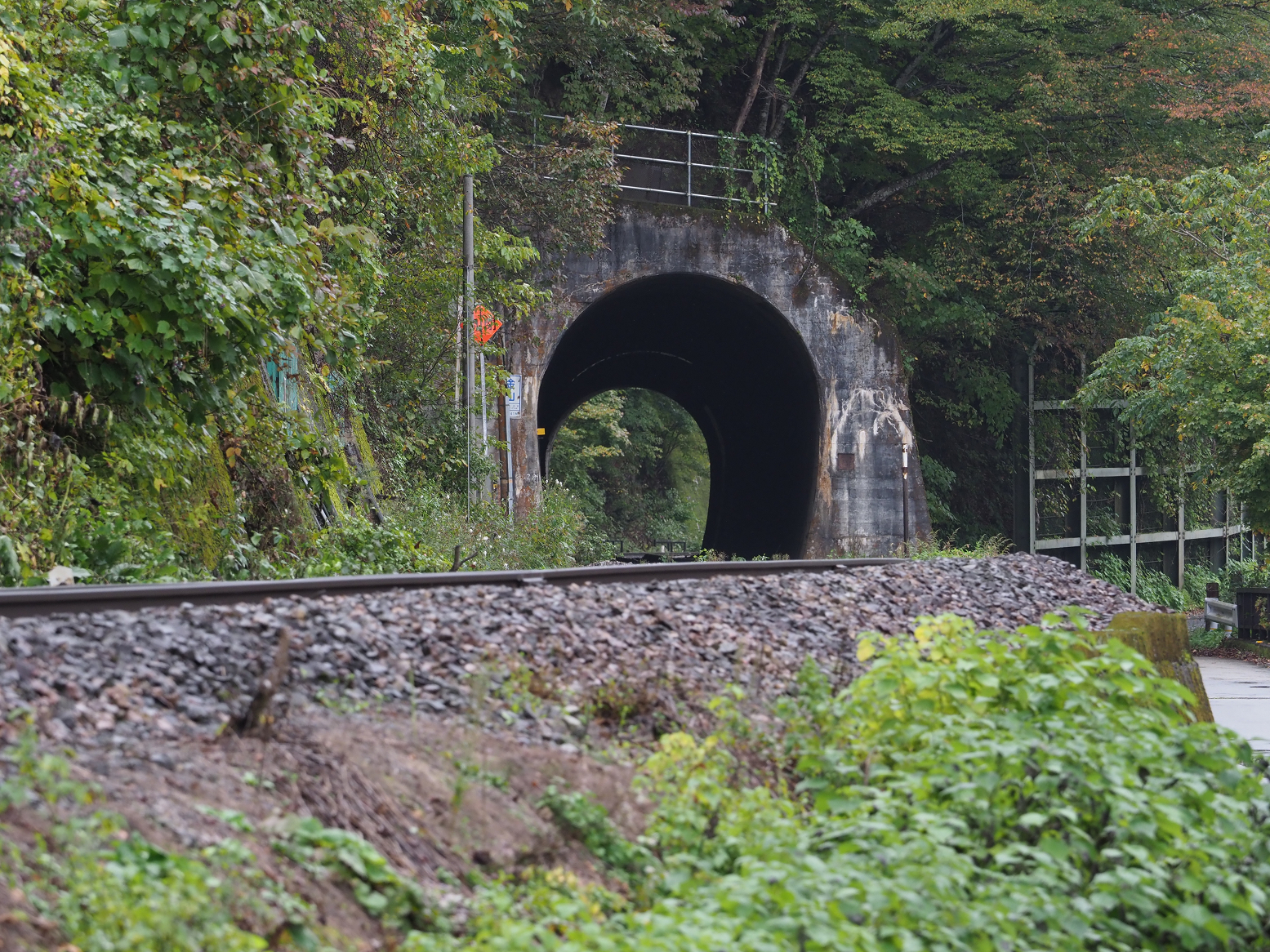 PA200731.jpg