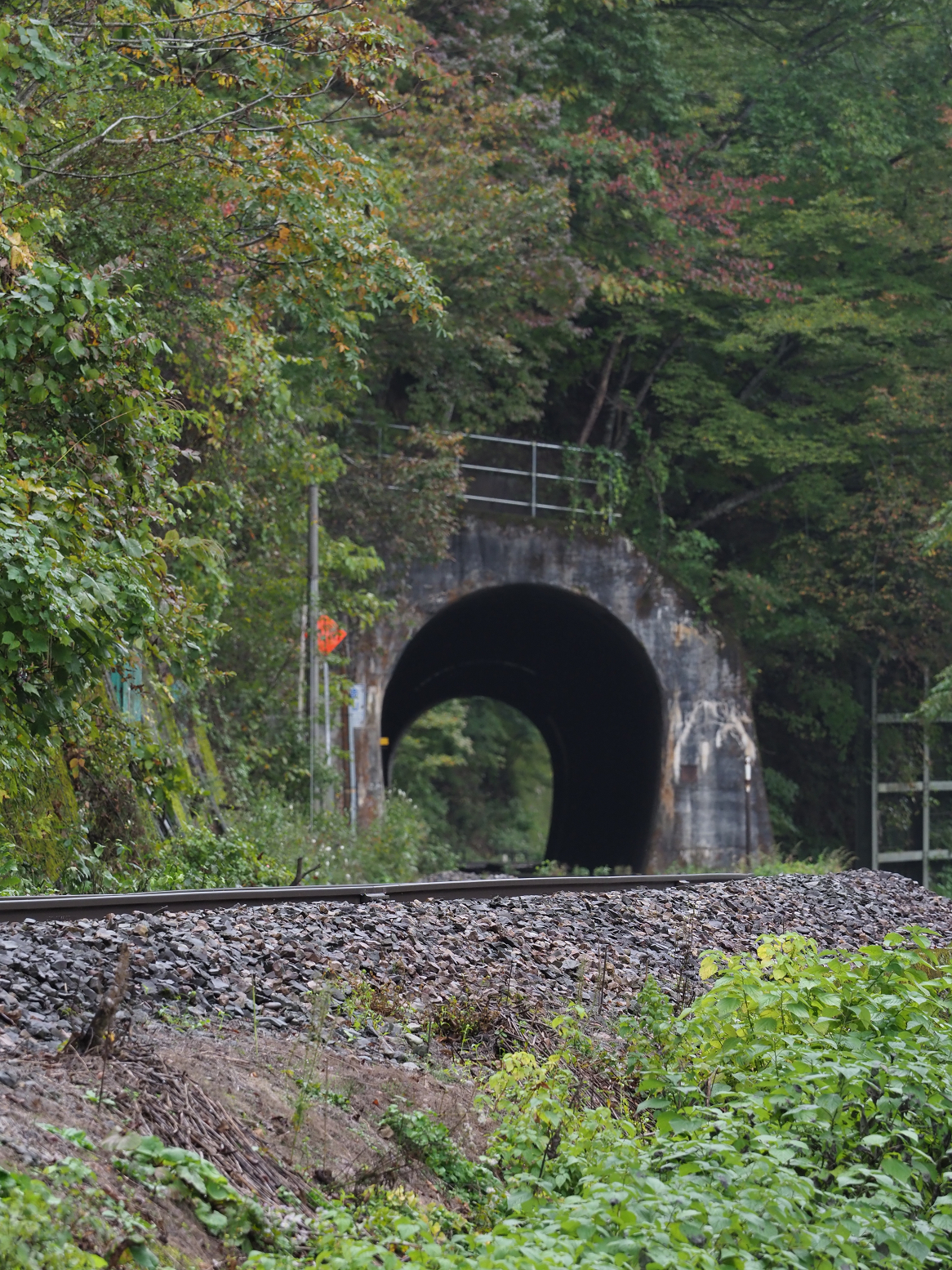 PA200732.jpg