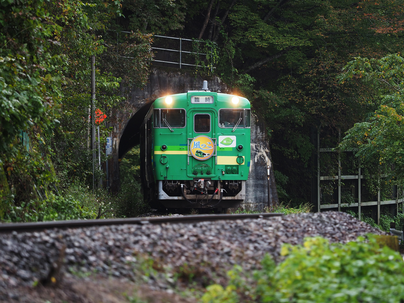 PA200746-.jpg