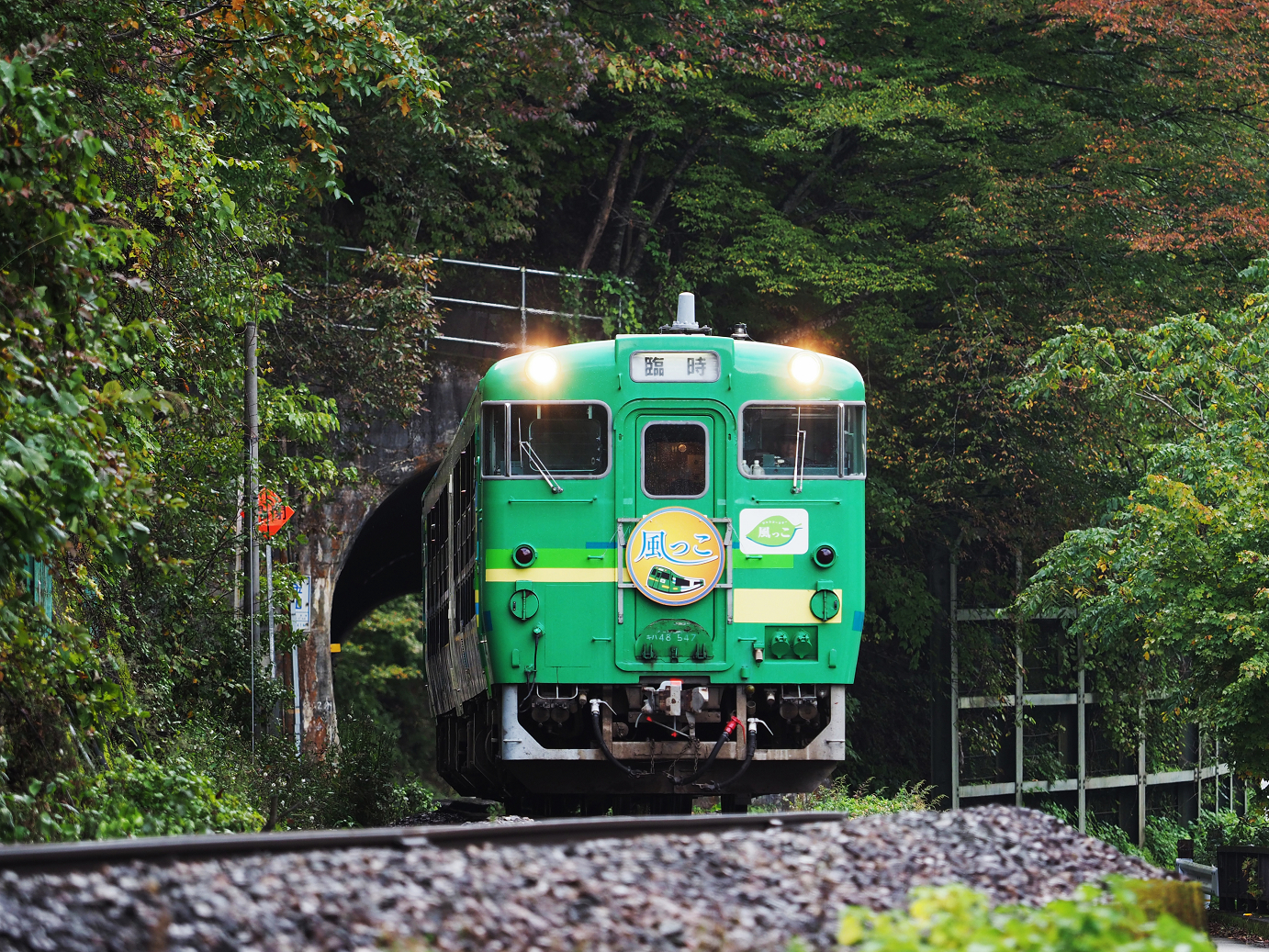 PA200748.jpg