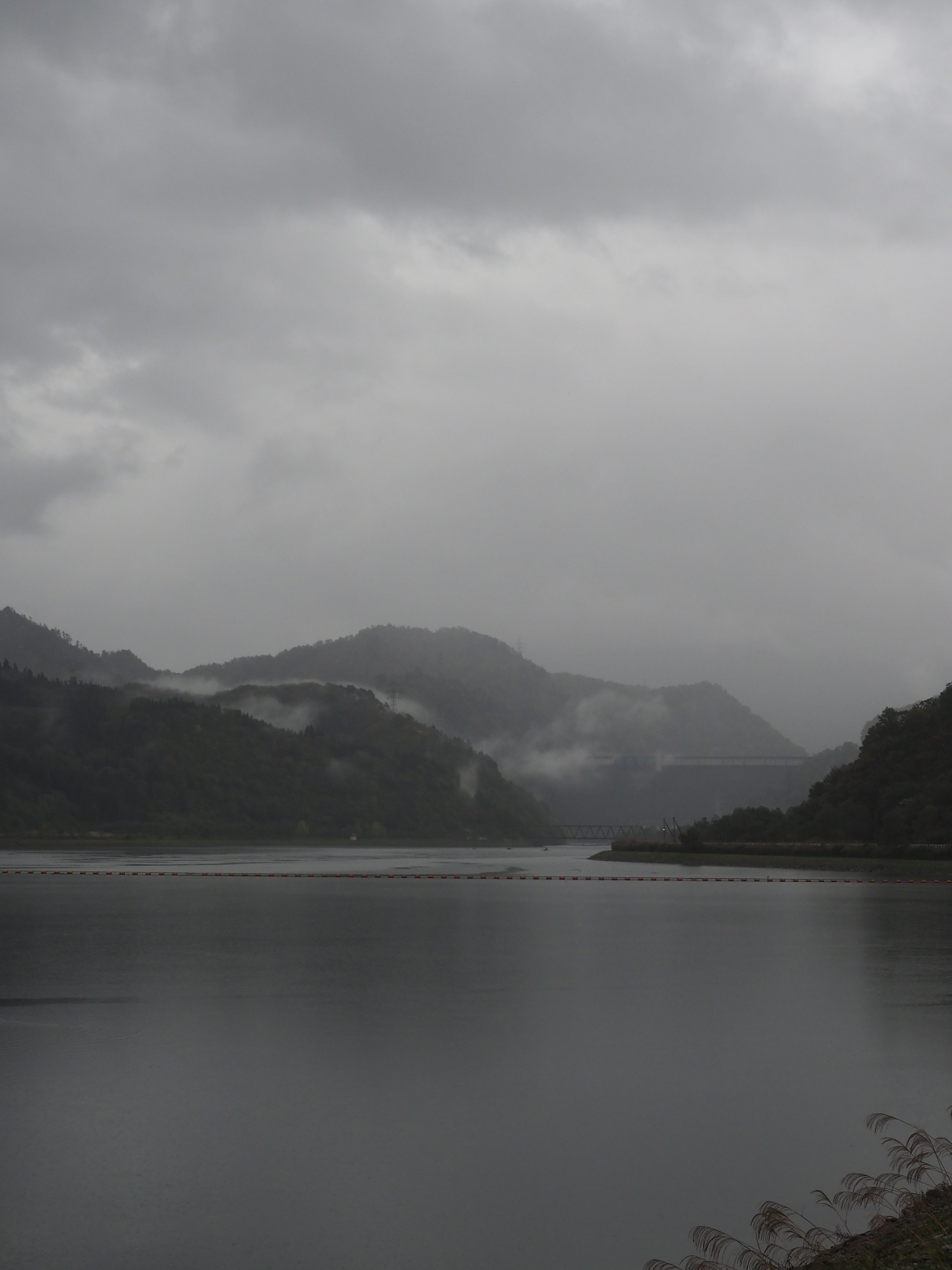 PA200817.jpg