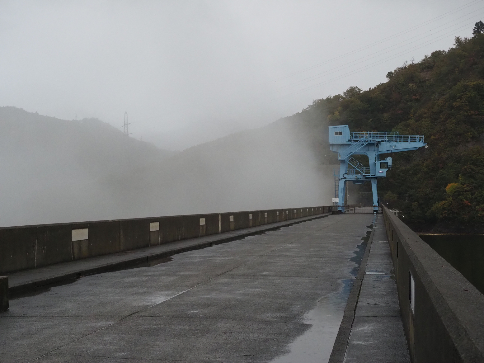 PA200829.jpg